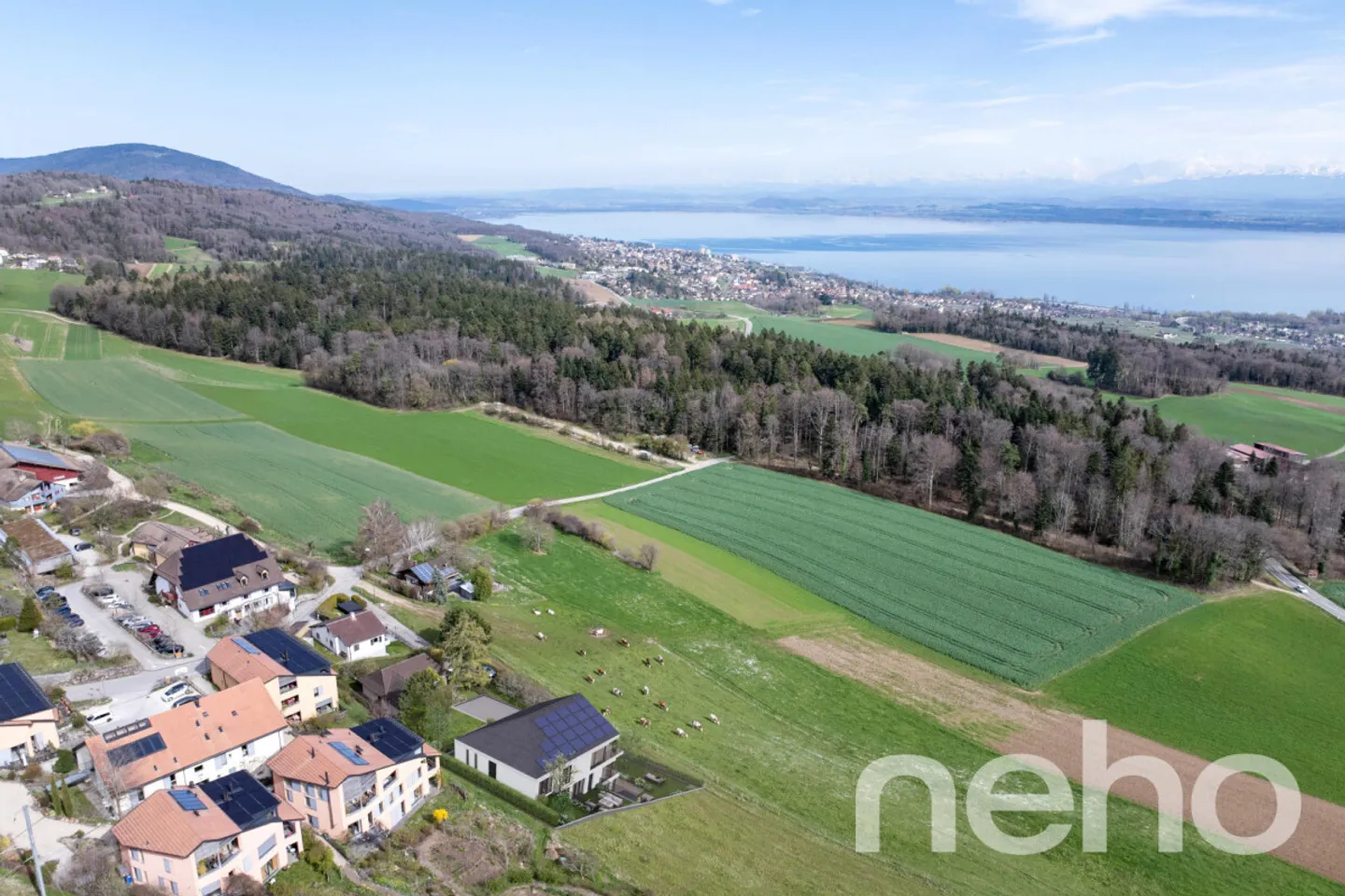 Appartamento con vista a 180° sul lago, terrazza e giardino privato! - Foto 2 di 5