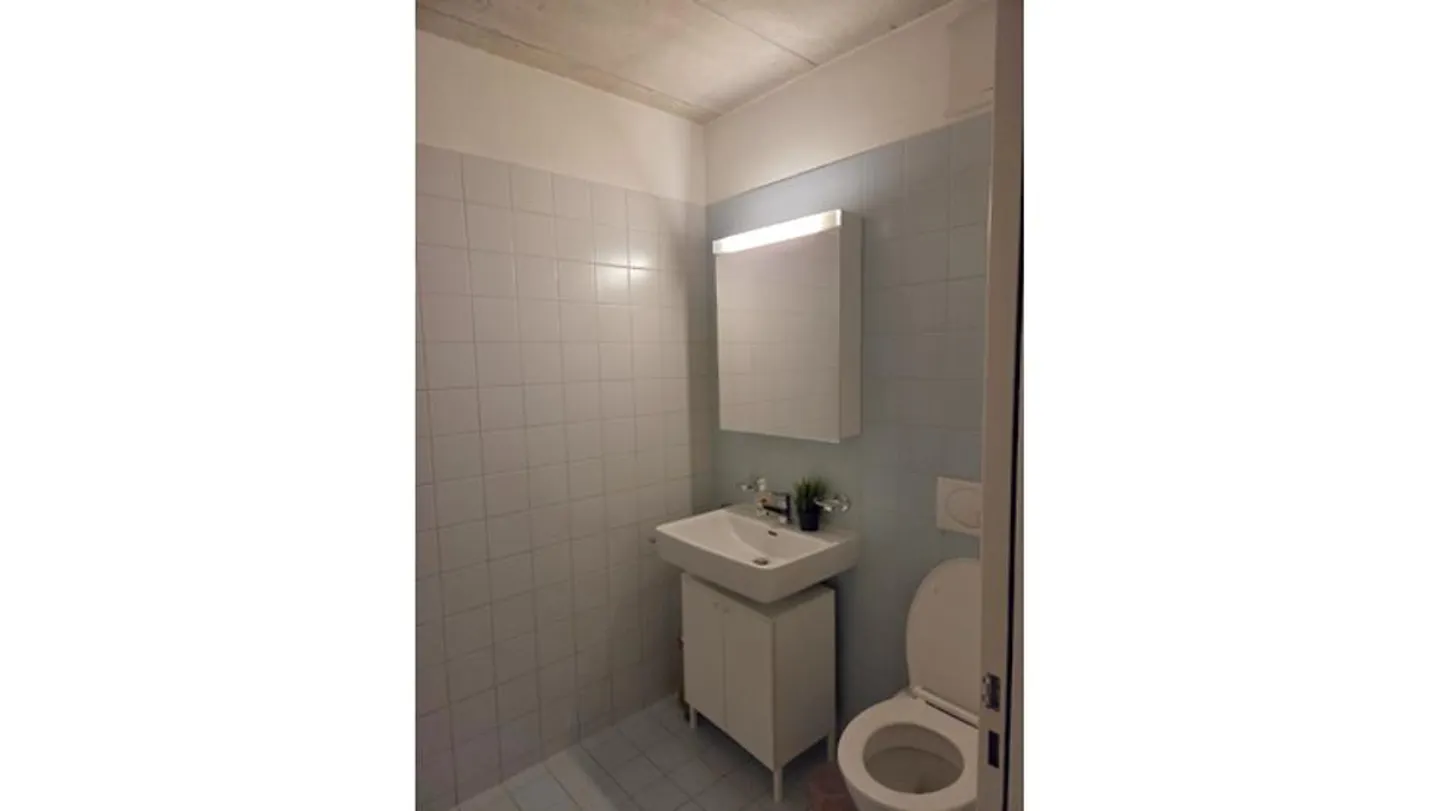 APPARTEMENT 3½ PIÈCES À SCHLIEREN (ZH), MEUBLÉ, TEMPORAIRE - Photo 10 sur 12