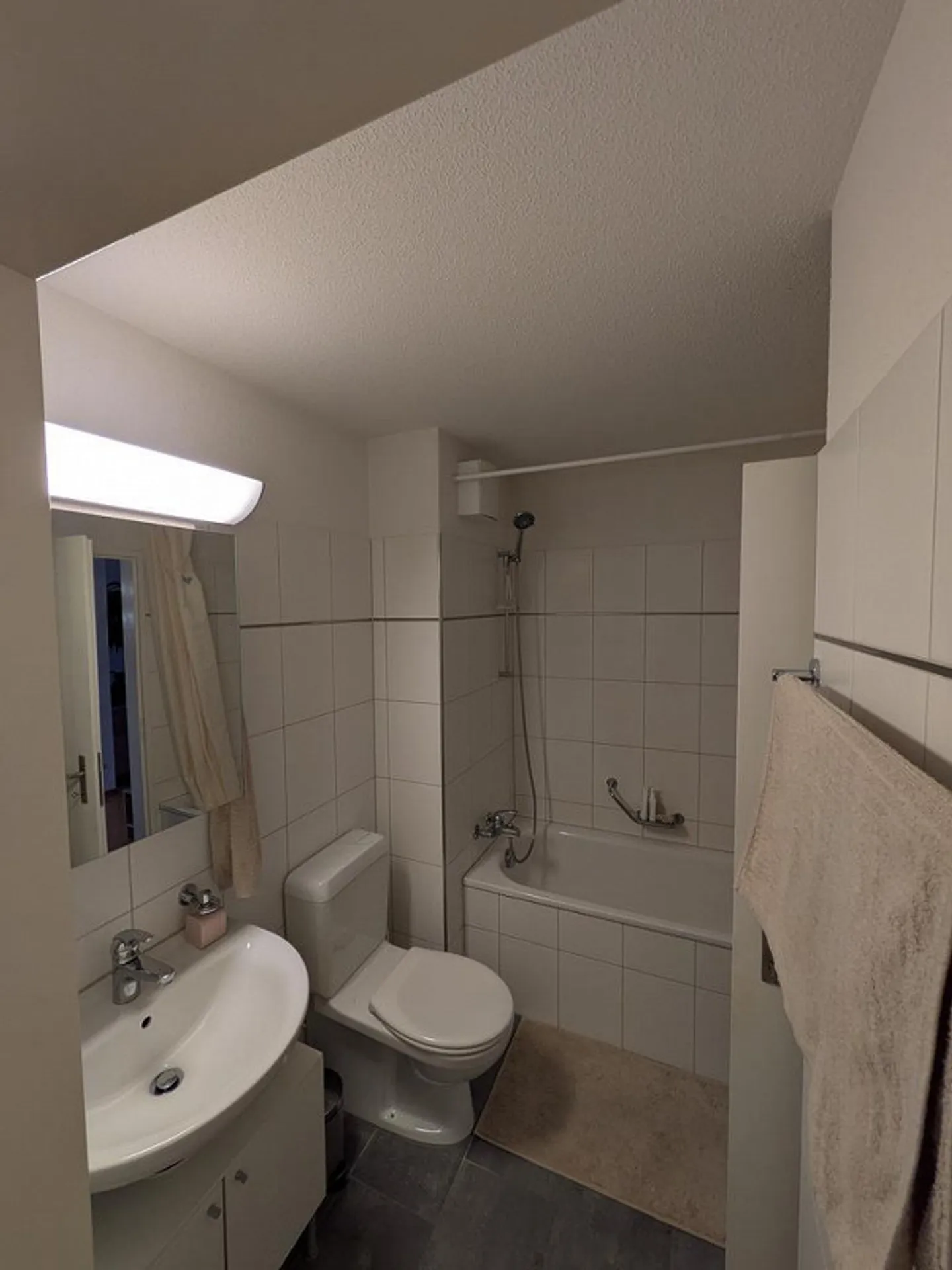 Cozy Apartment for Rent in Richterswil - Photo 4 of 7