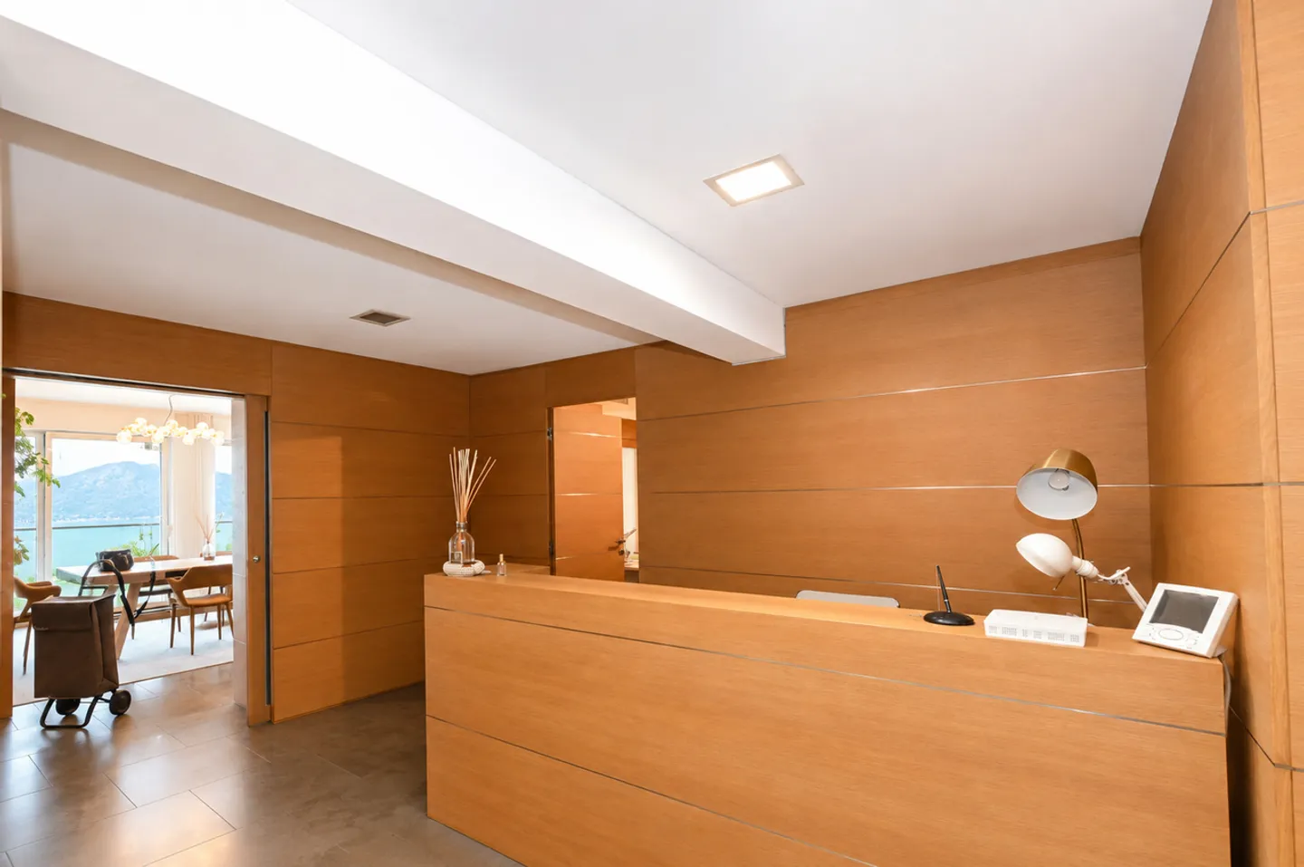 Representative Offices with Lake View and Parking Space in the Heart of Lugano - Photo 6 of 15