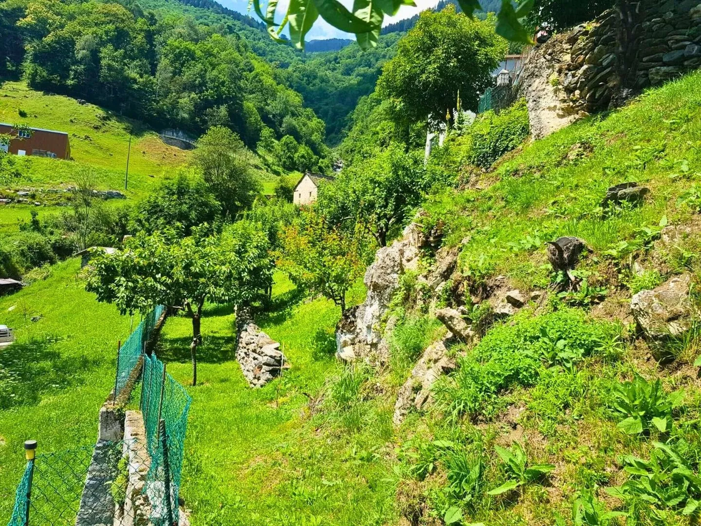 Un luogo da sogno dove si può vivere qualitativamente - Foto 7 di 10