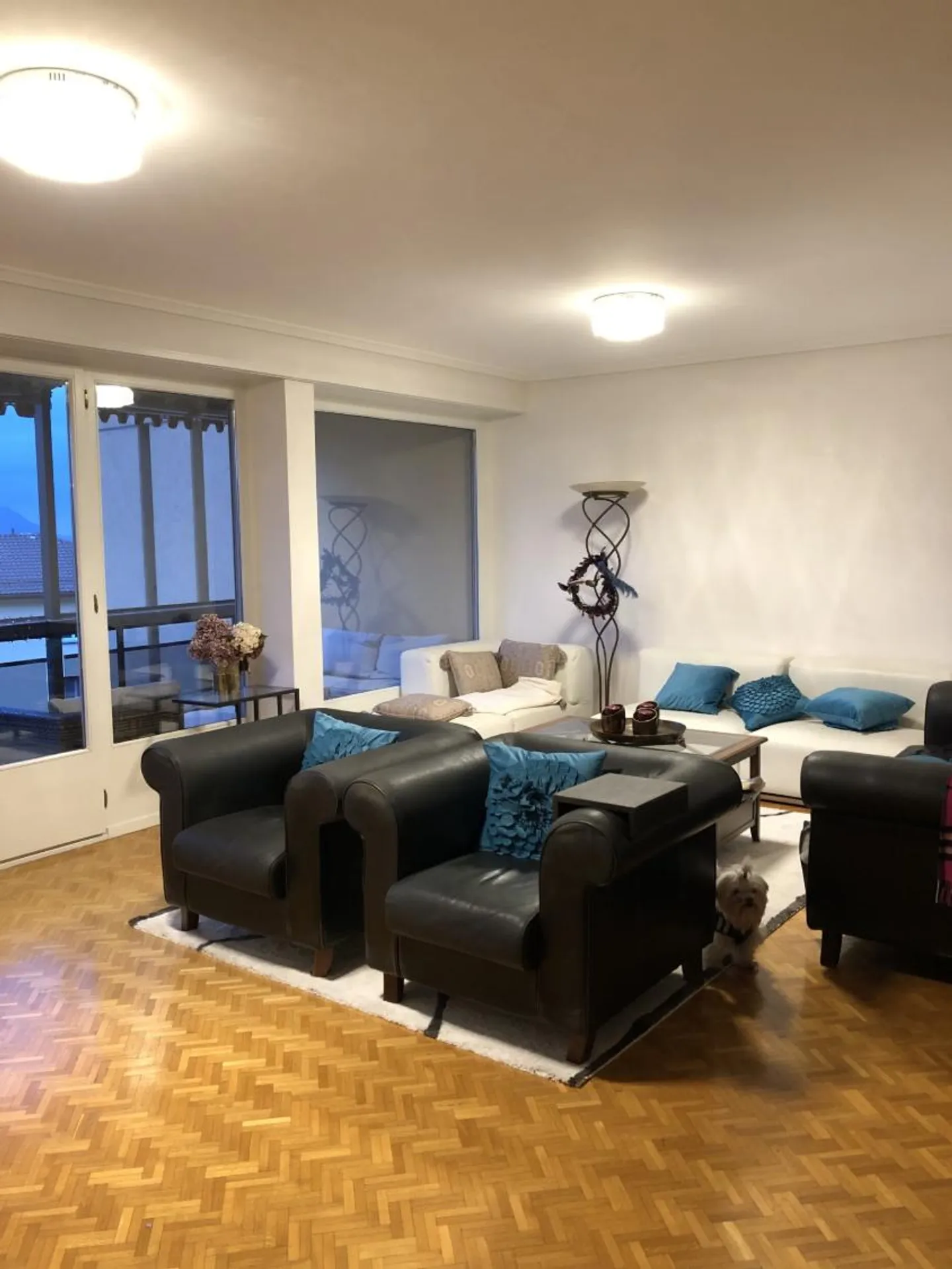 Appartement Charmant avec Vue sur le Lac - Photo 3 sur 9