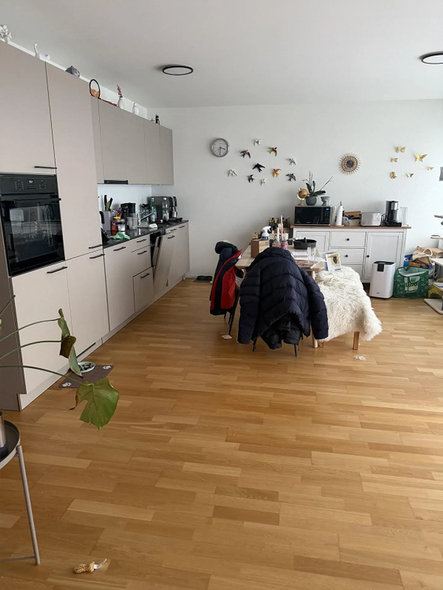 Moderno appartamento attico di 3,5 locali a Biberist con standard Minergie - Foto 1 di 7