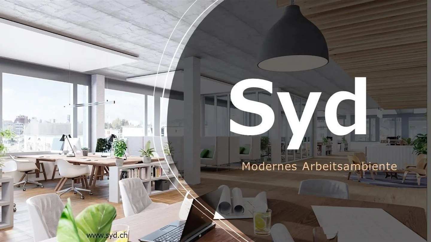 Posizione top, top moderno - "SYD"-Basilea Il tuo nuovo ufficio a Dreispitz - Foto 11 di 13