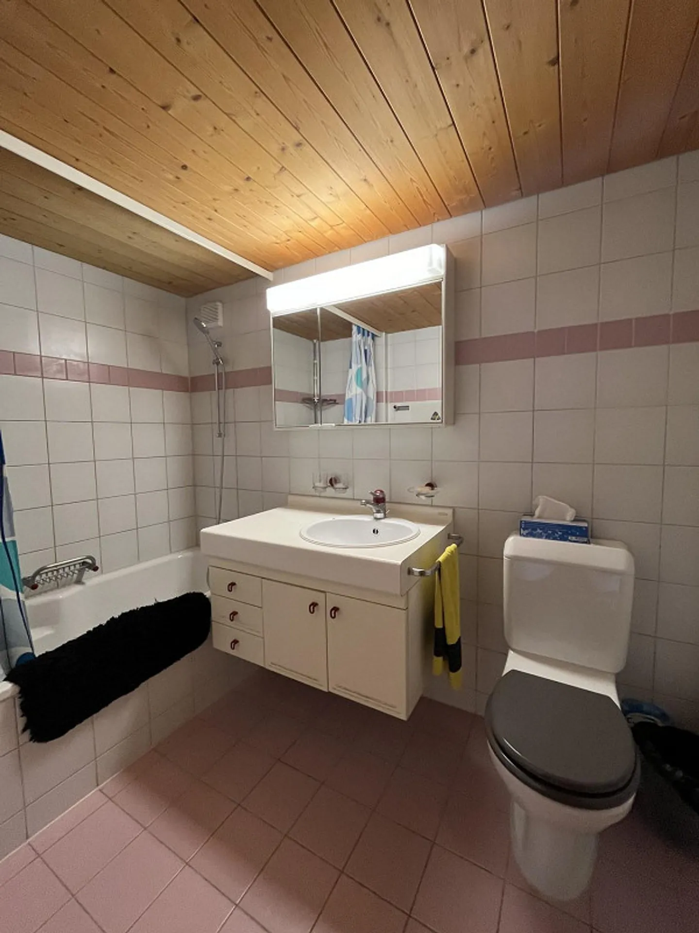 Beautiful 3.5 gallery apartment for rent near Thun - Photo 6 of 12