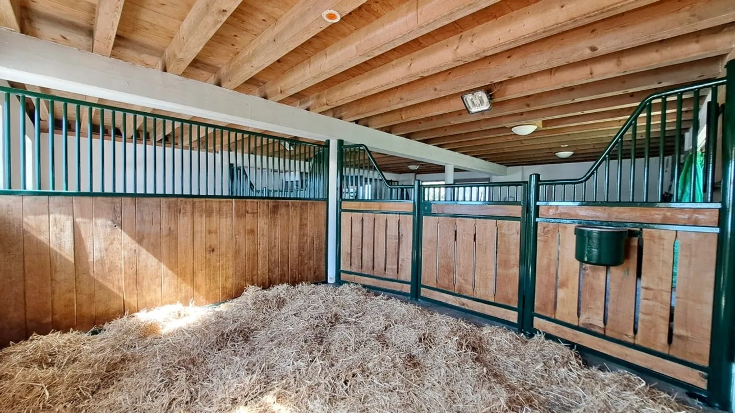 Ferme équestre avec 220m² de surface habitable + paddock rénové - Photo 4 sur 13