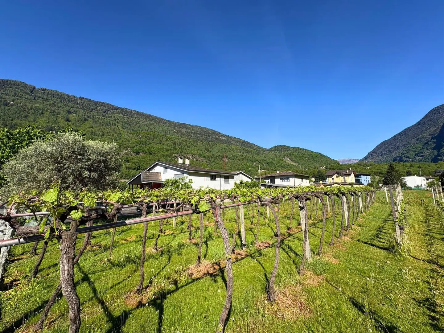 Dans la vallée ensoleillée, une opportunité d'investir - Photo 6 sur 7