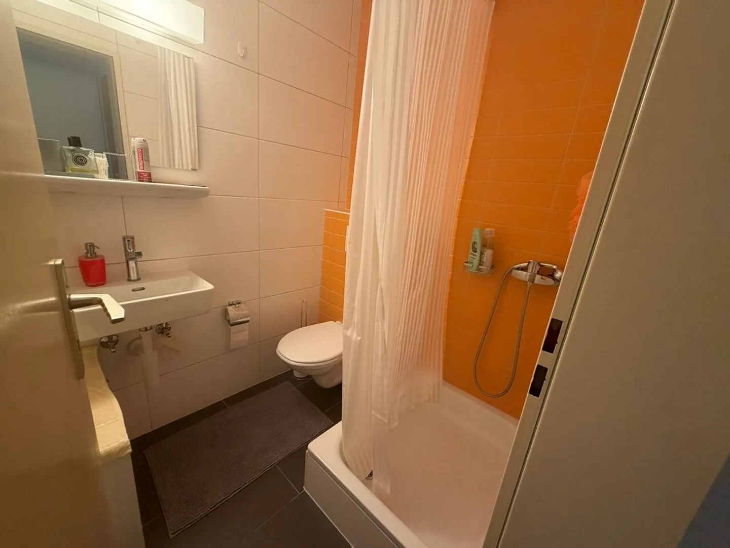 CHRAMANT LOGEMENT A LOUER A POSIEUX - Photo 1 of 8