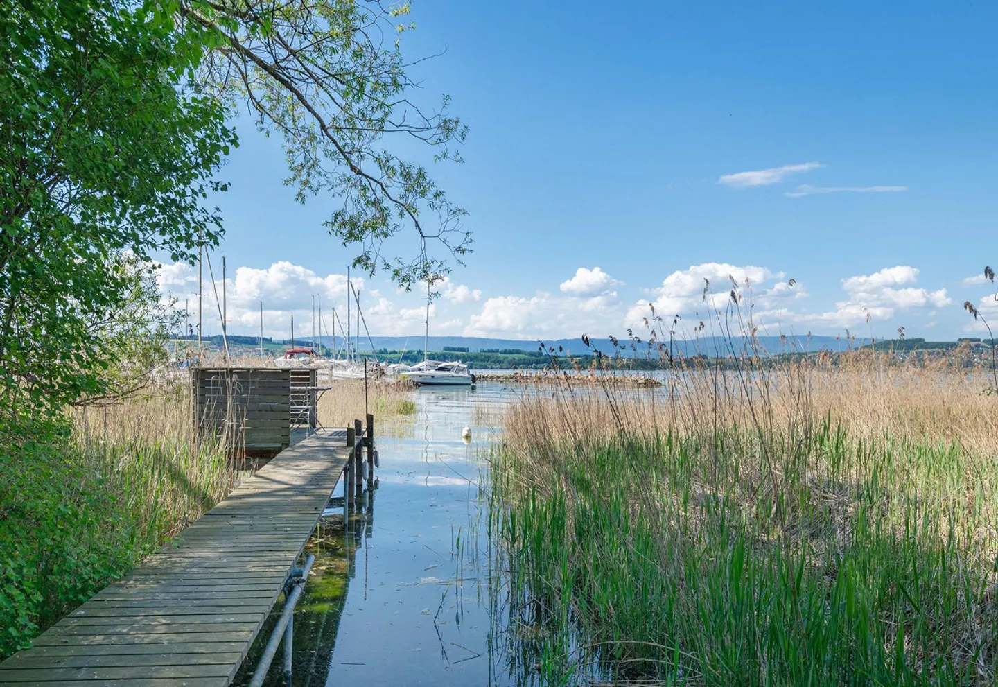Paradiso sul lago di Morat con accesso privato al lago - Foto 2 di 22