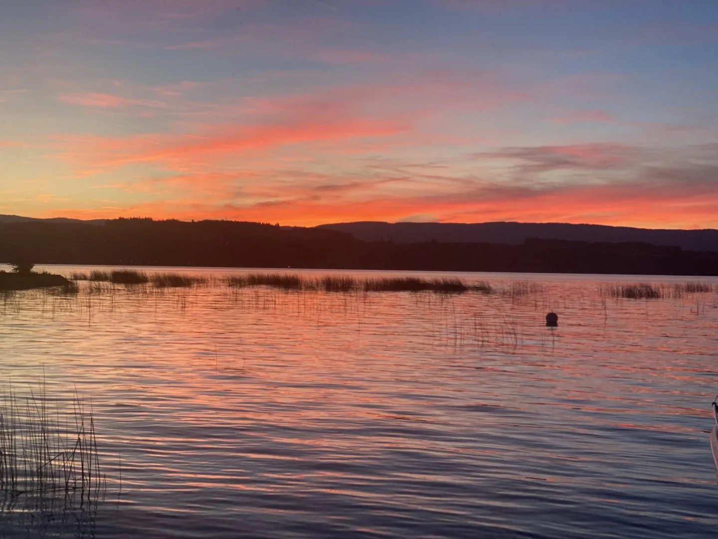 Paradiso sul lago di Morat con accesso privato al lago - Foto 3 di 22