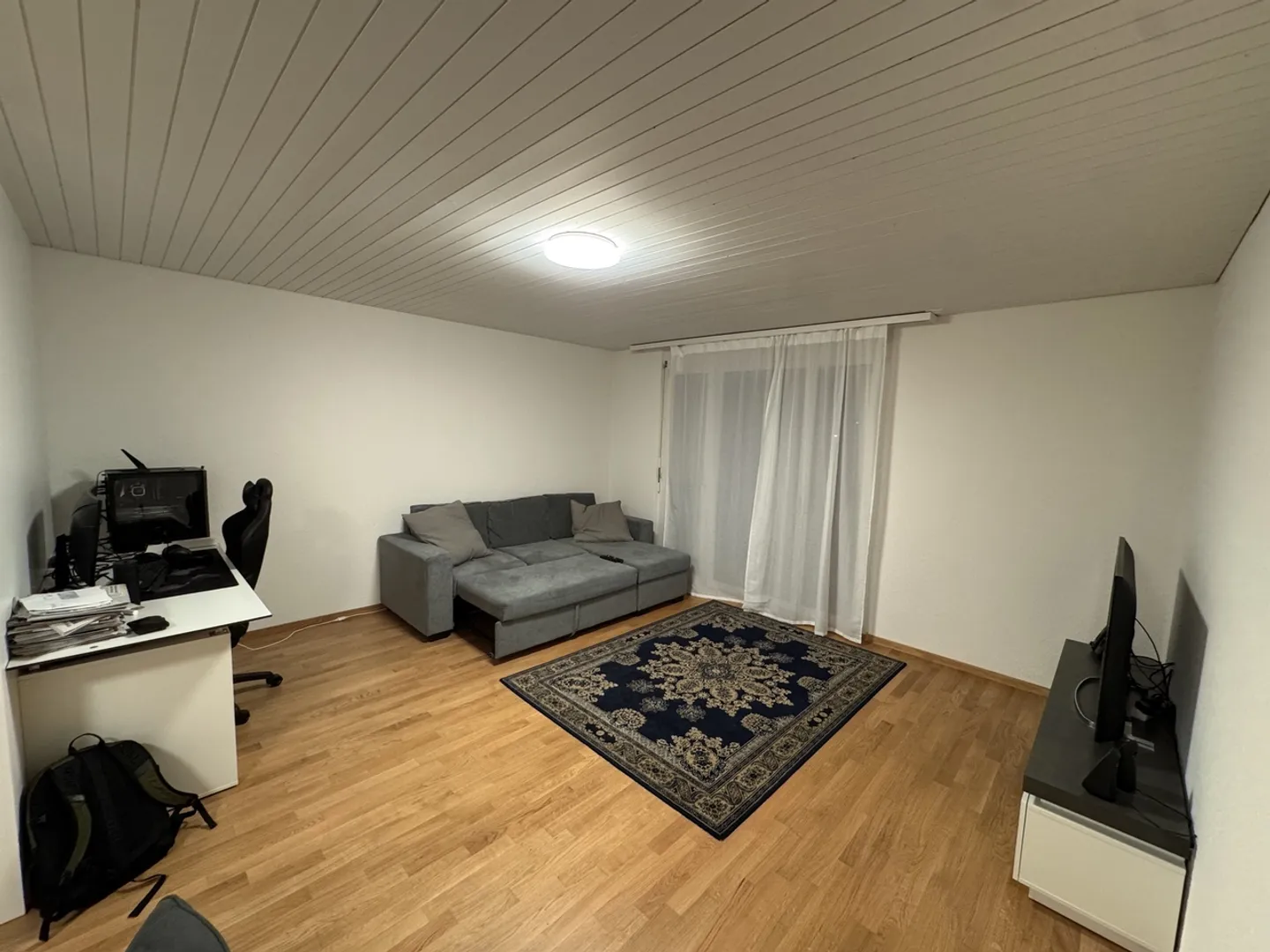 Charming and city-close apartment - Photo 7 of 8