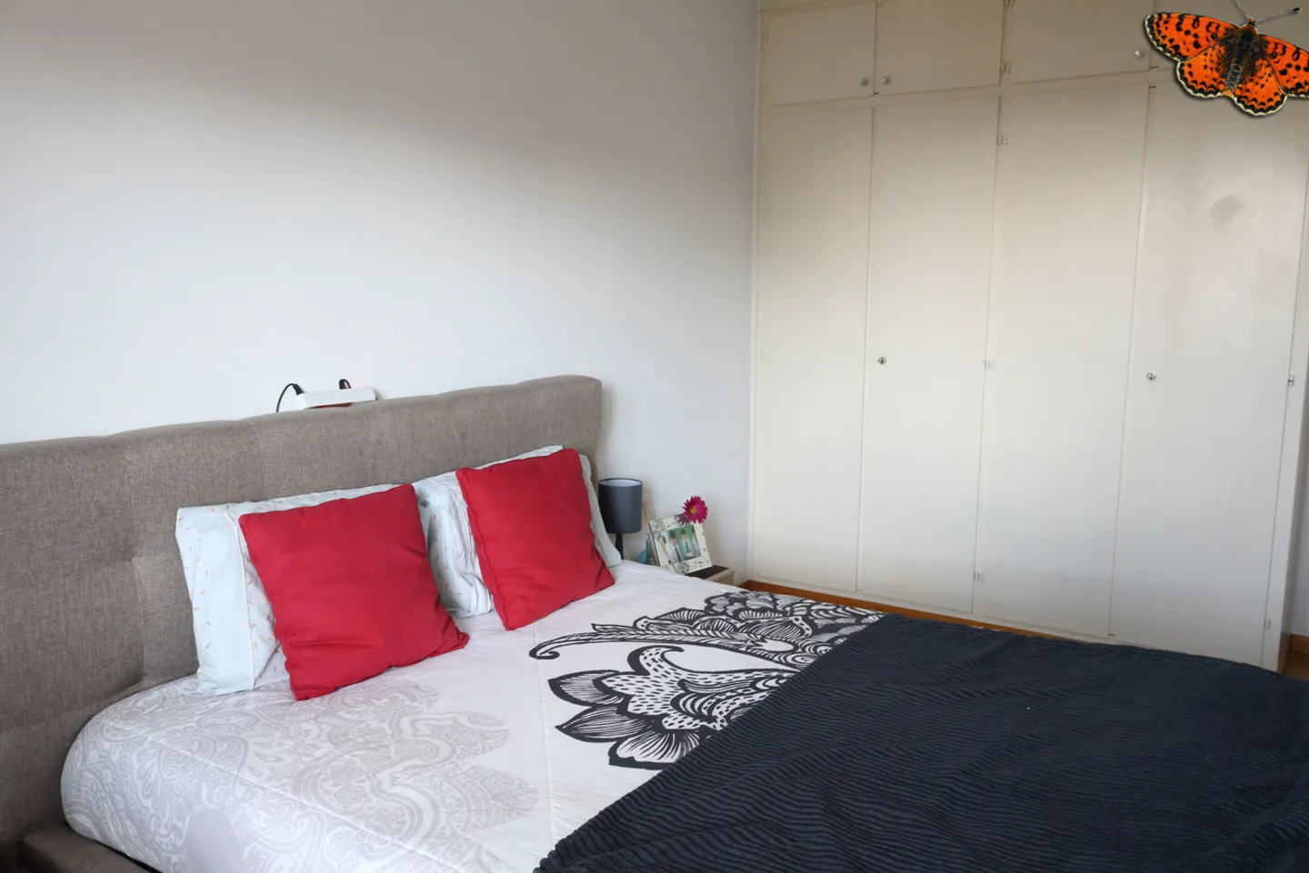 2.5 Room Apartment - Photo 4 of 7