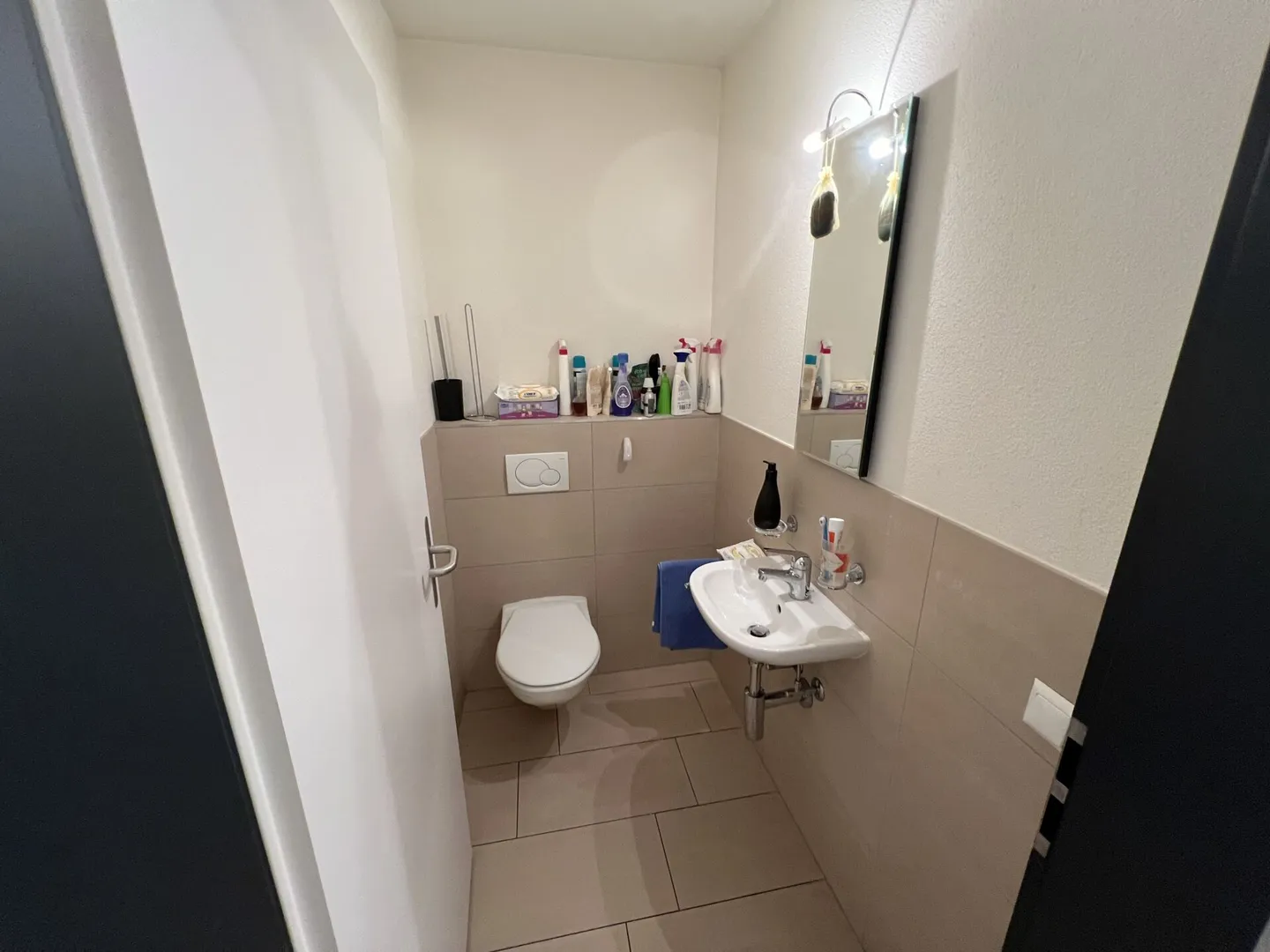 Appartamento 5.5 locali con giardino - Foto 7 di 14