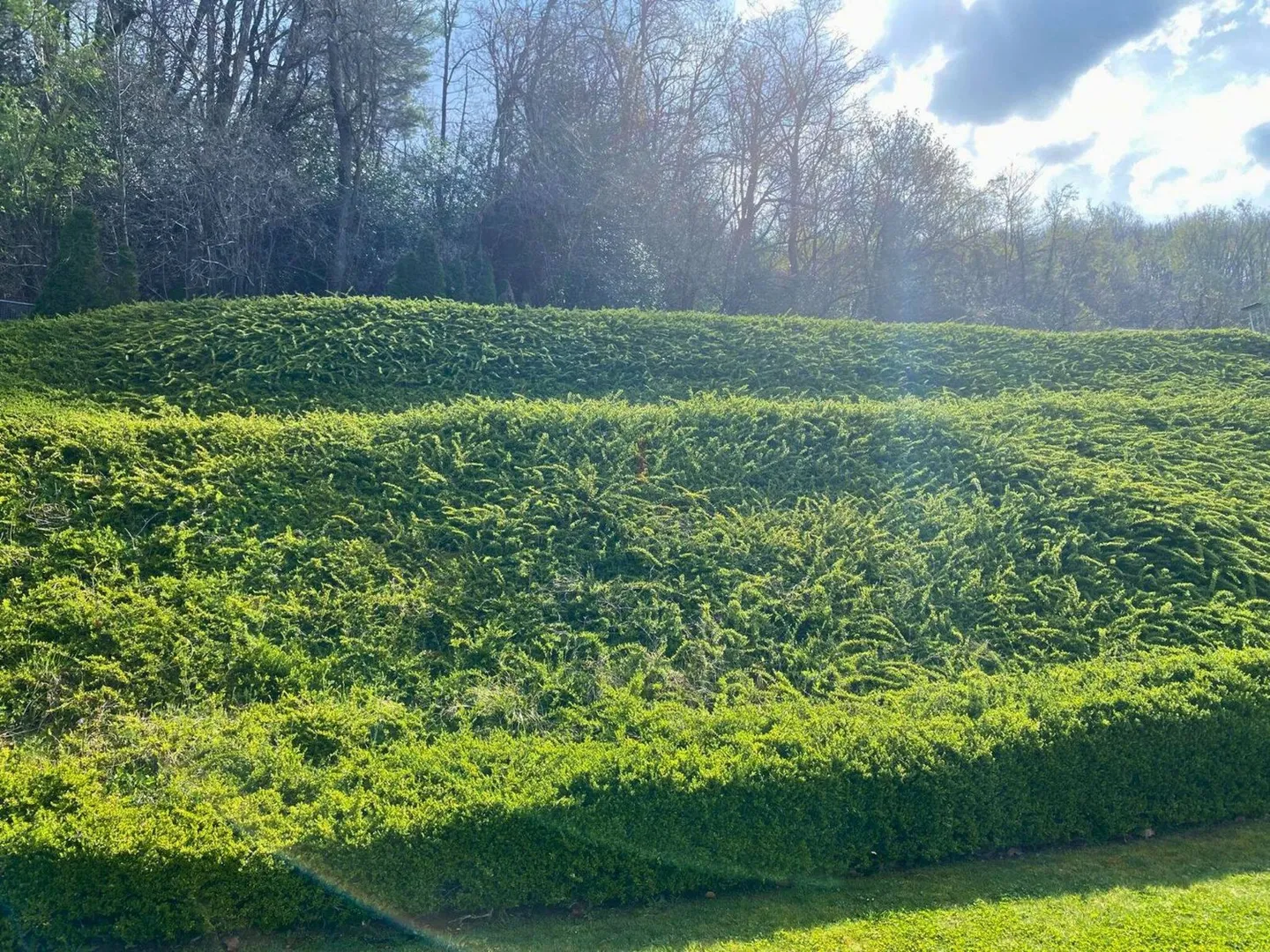 BUILD YOUR HOUSE WITH LAKE VIEW - Photo 5 of 10