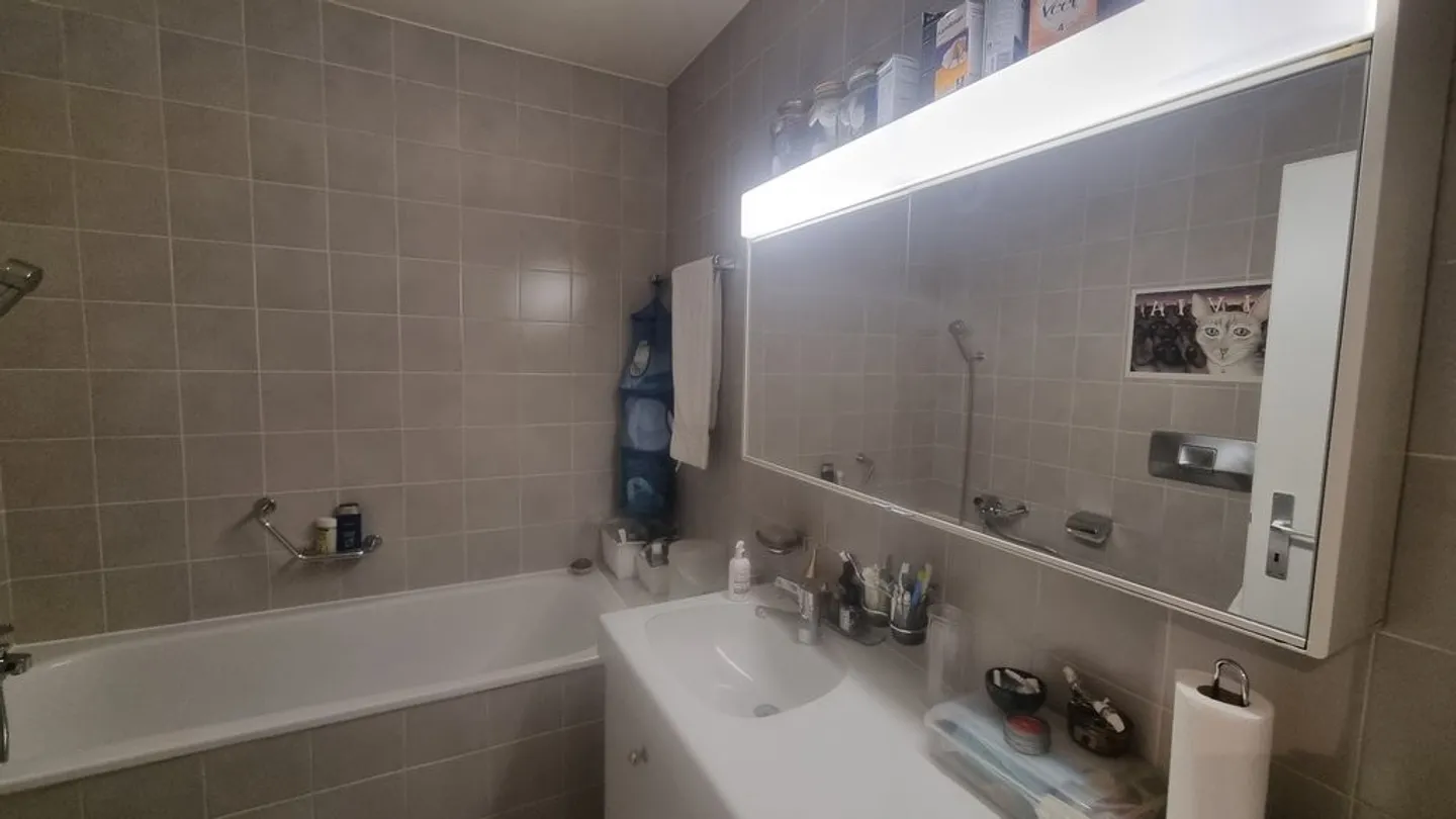 Bell'appartamento con terrazza e balcone nel cuore di Petit-Lancy - Foto 6 di 6