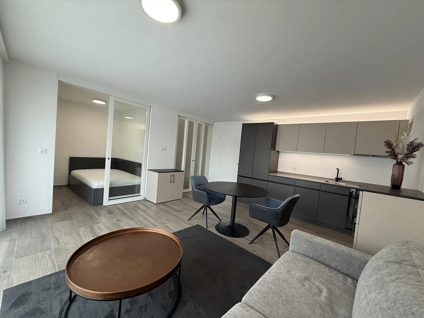 Appartamento 1,5 stanze arredato - Foto 3 di 11