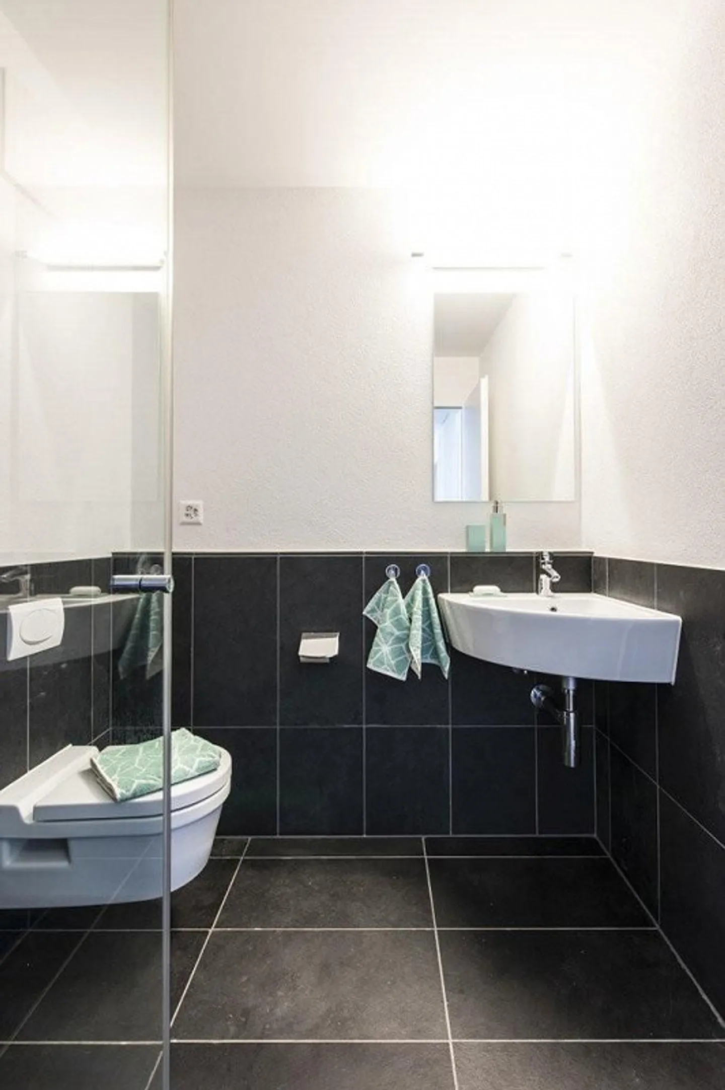 Top modern attic apartment near Lake Zurich - Photo 7 of 9