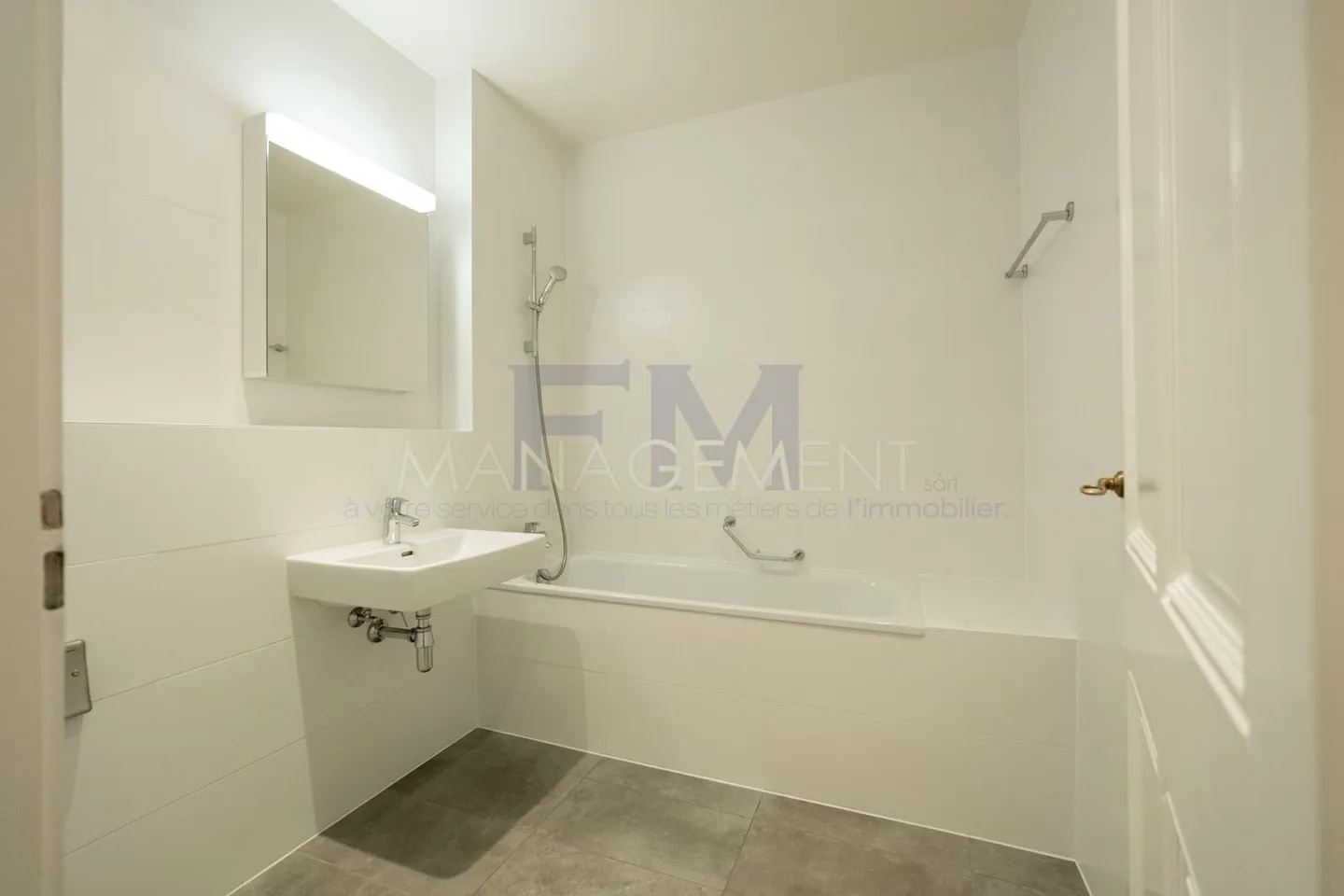 Charming Apartment in Geneva - Photo 10 of 16