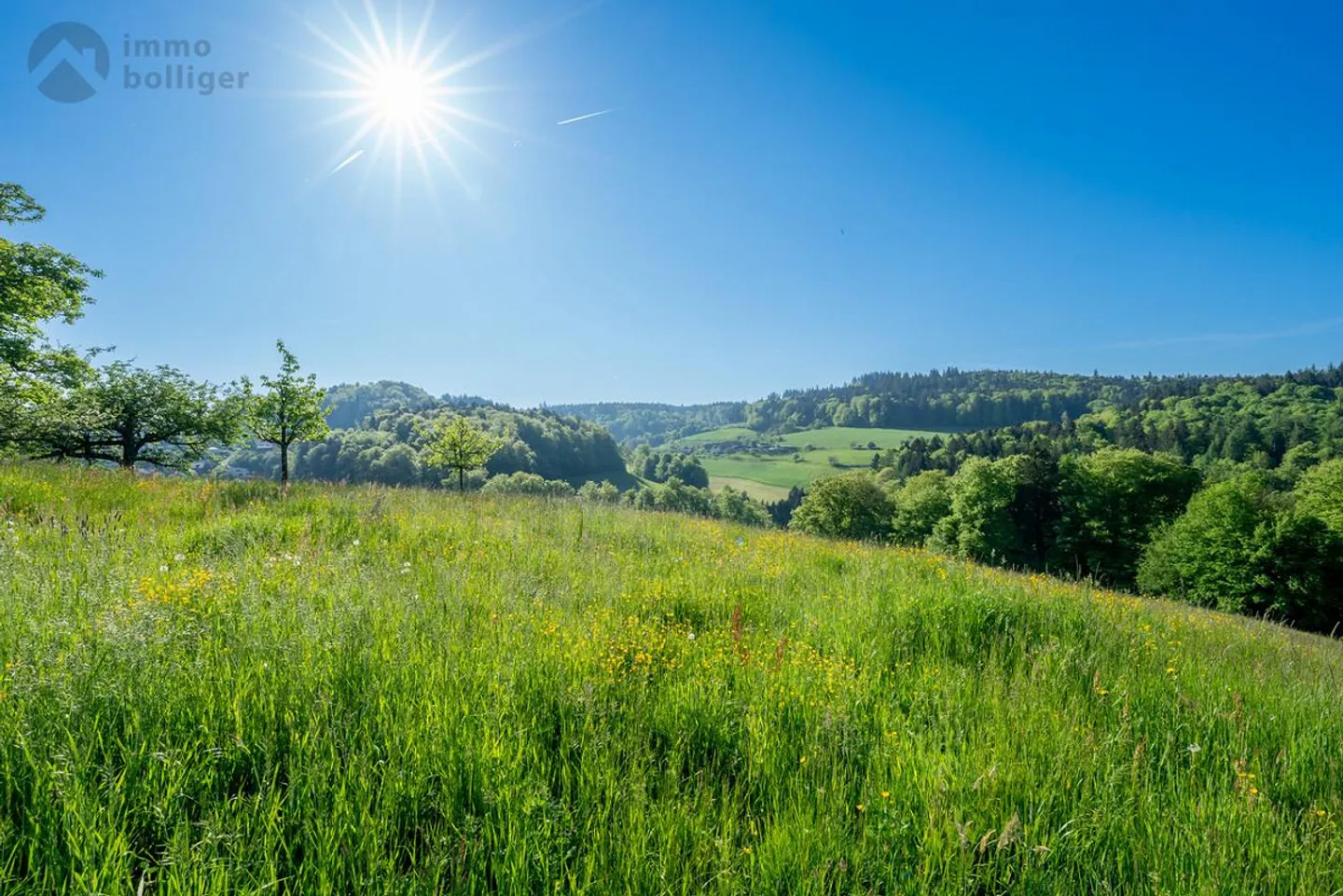 Vivere sul 'Härdöpfuhoger' - Foto 8 di 14