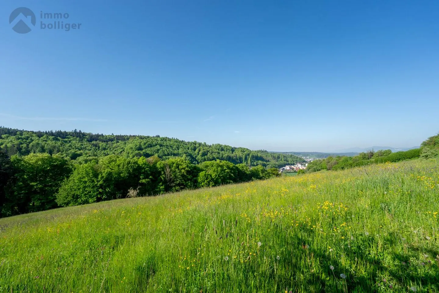 Vivere sul 'Härdöpfuhoger' - Foto 10 di 14