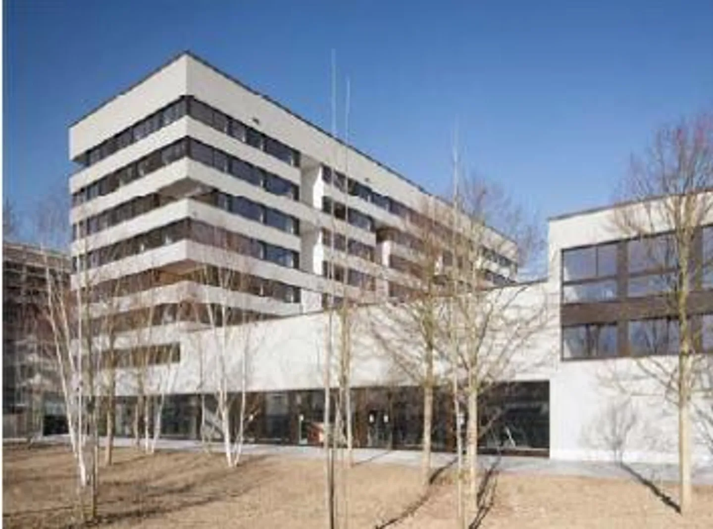 2.5 Room Apartment - Photo 6 of 6