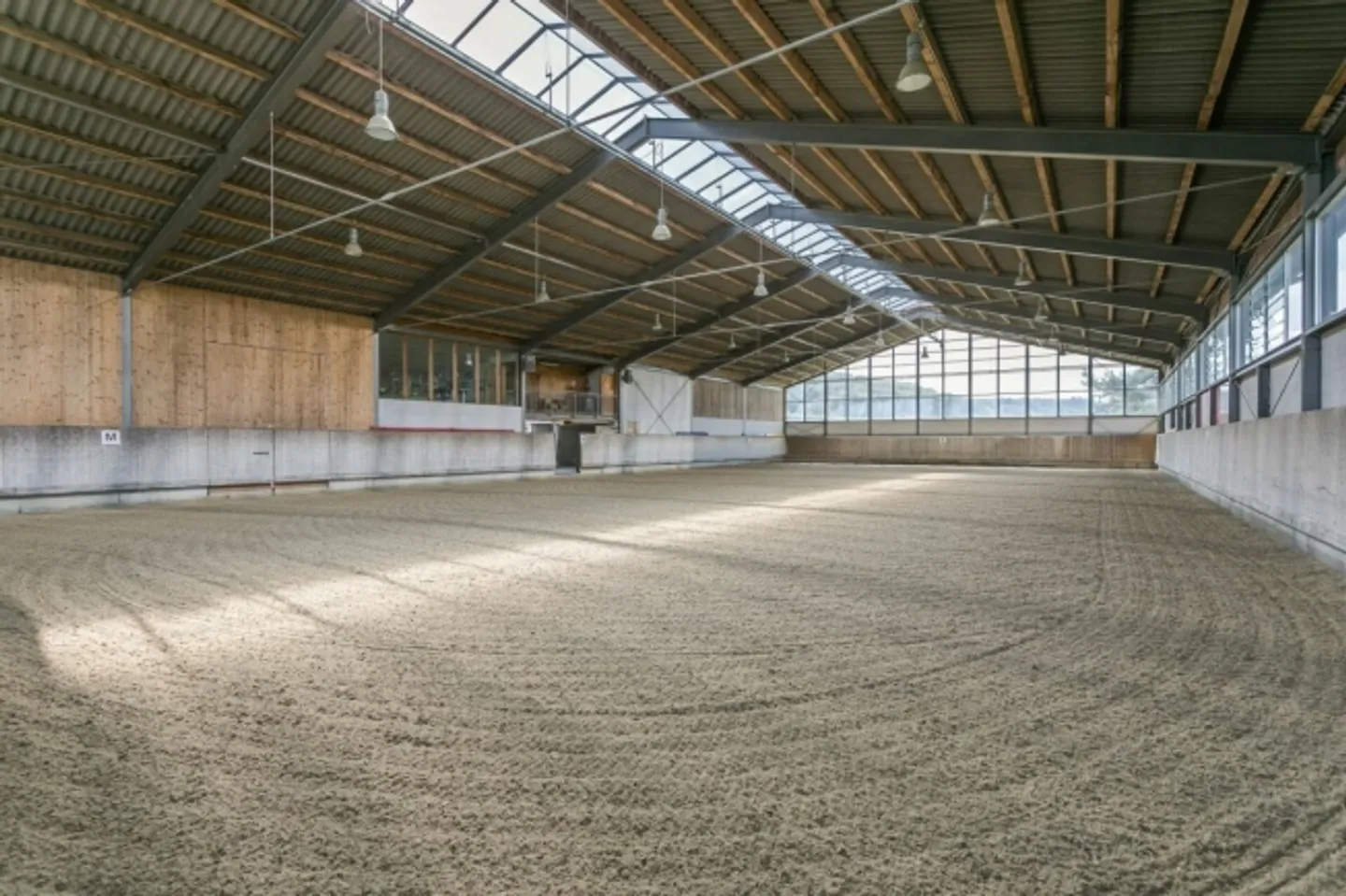REITSPORTIMMOBILIE MIT VILLA, HALLE UND NEUEM SANDPLATZ - Foto 2 von 9