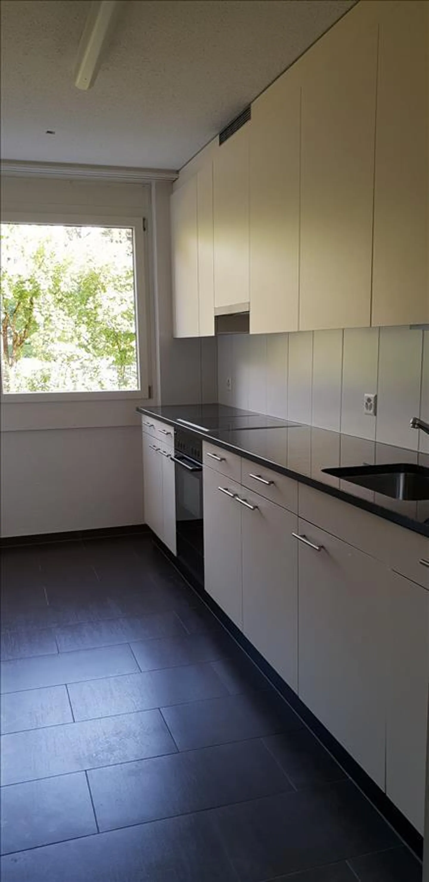 Appartamento 3.5 camere affascinante - Foto 2 di 5