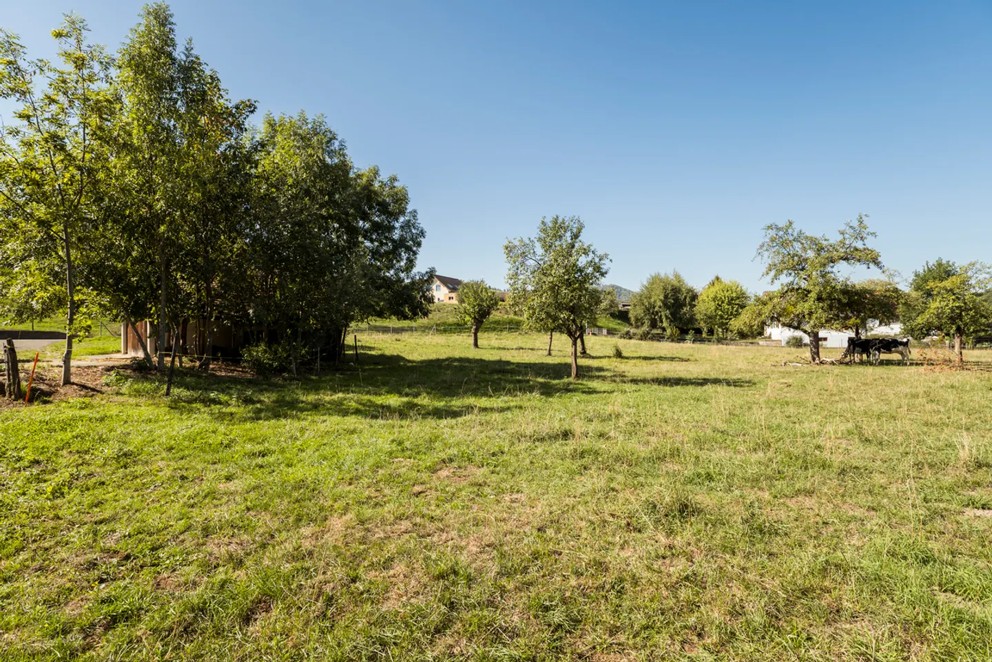 Farmhouse with living quarters, stable, barn - Photo 12 of 13