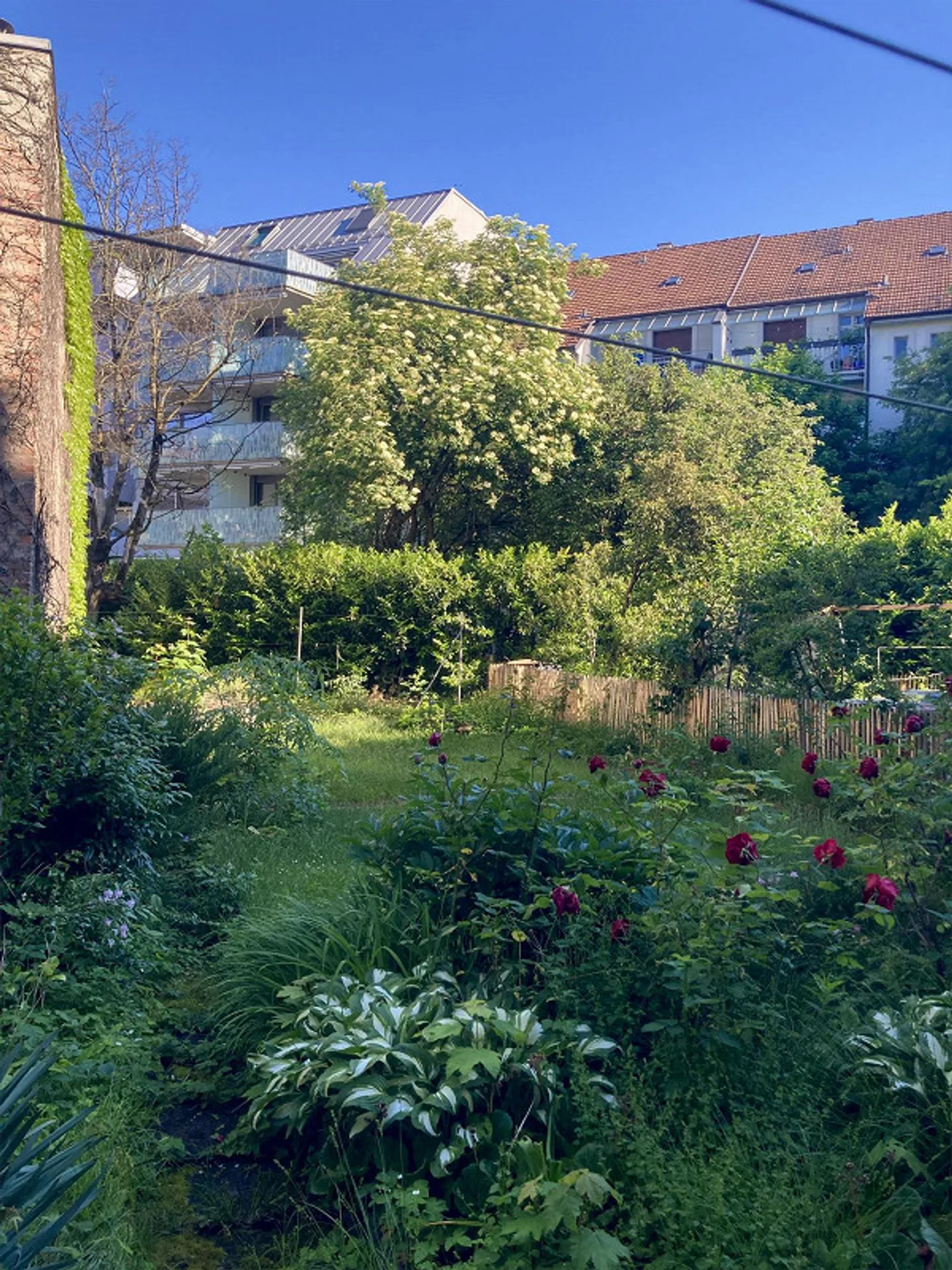 Appartamento affascinante in una casa plurifamiliare idilliaca con cucina attrezzata - Foto 2 di 5