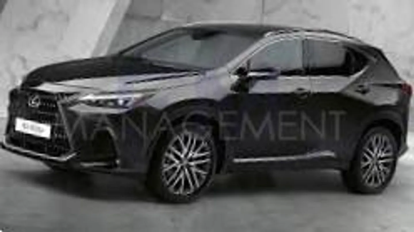 Open space - Photo 1 of 1