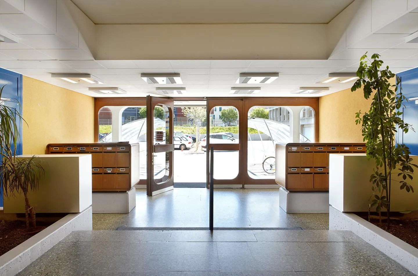 3,5-Zimmer-Wohnung - Foto 3 von 6