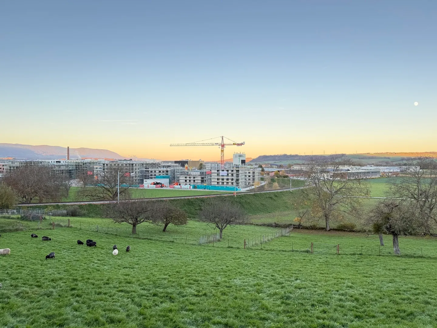 Exklusivität Orbe - 1200 m2 vollständig bebaubares Grundstück! - Foto 7 von 7