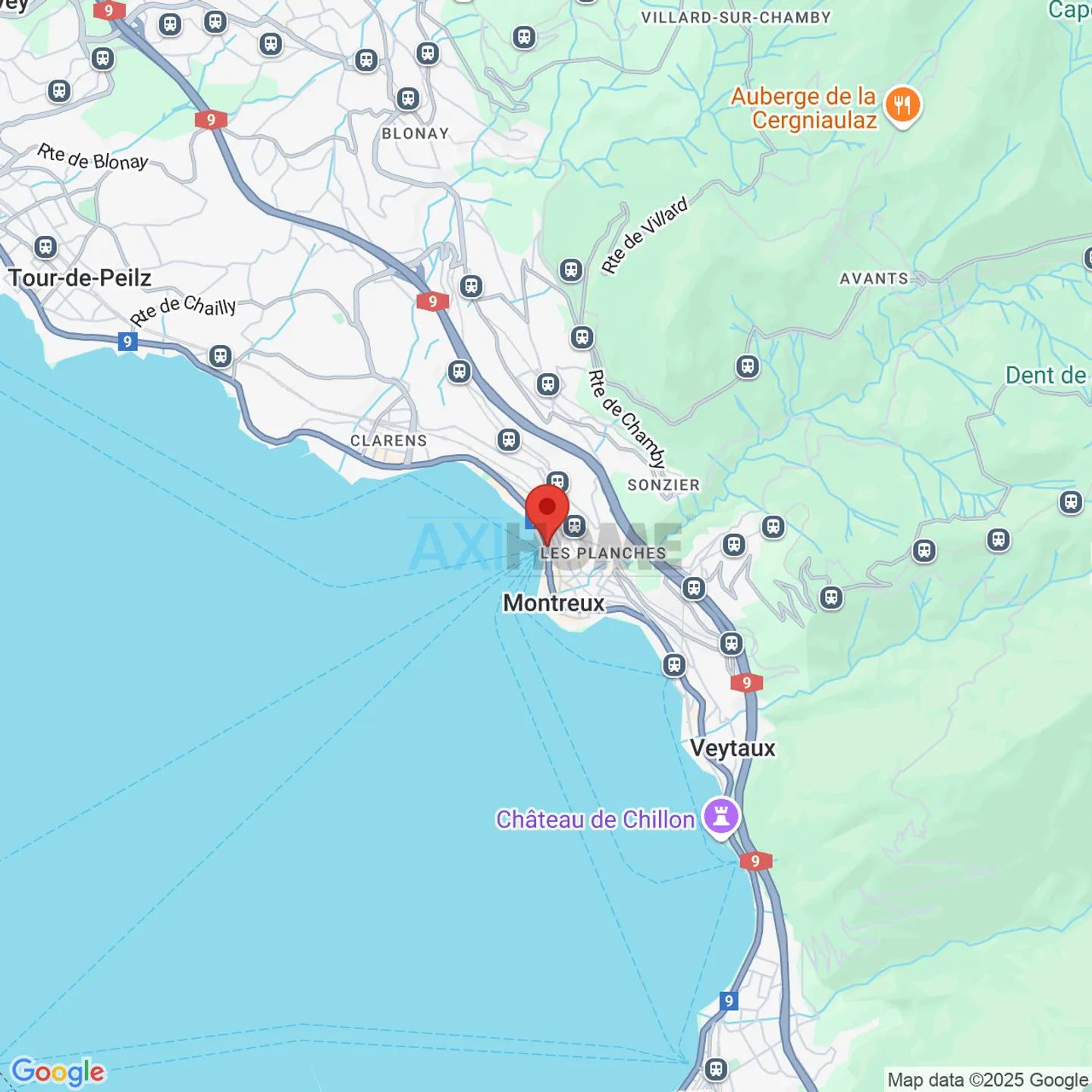 The lake at the end of your garden, you dreamed of it! - Photo 19 of 19