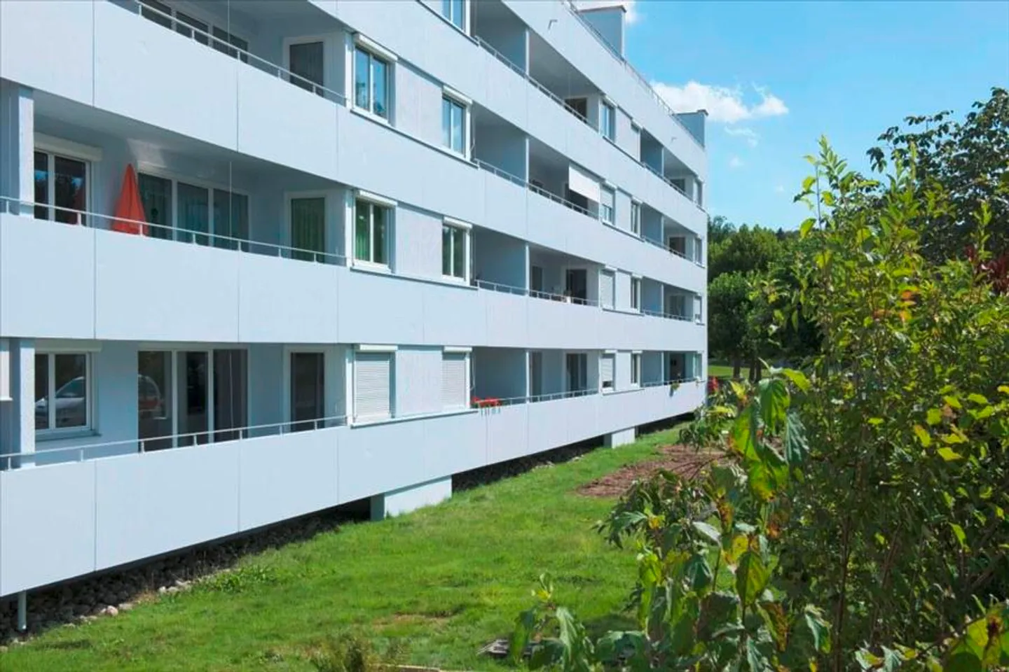 Cerca ... sorpresa ... vivere! - Foto 1 di 7