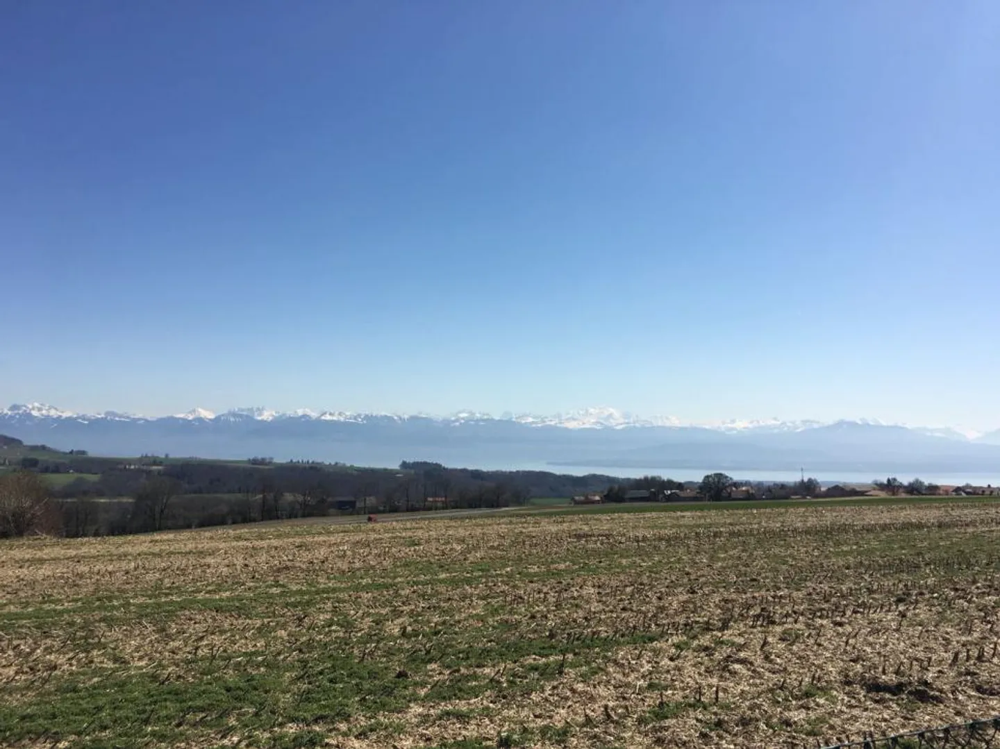 Vue sur le lac Léman et le Mont Blanc - Photo 3 sur 8