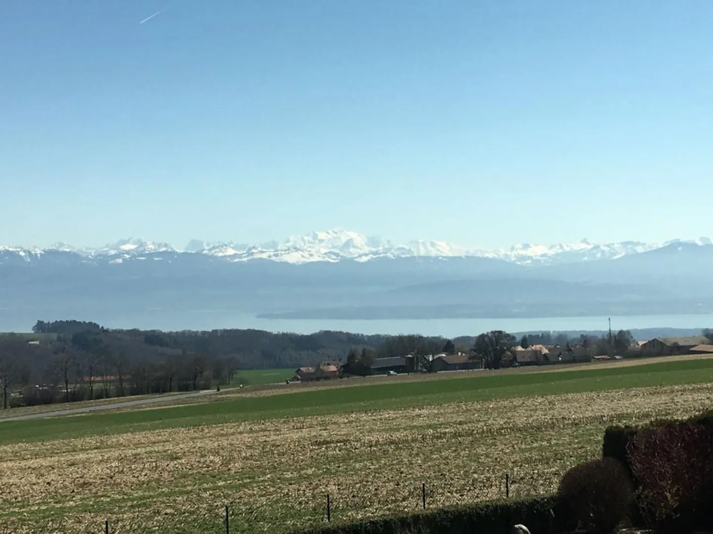 Vue sur le lac Léman et le Mont Blanc - Photo 8 sur 8