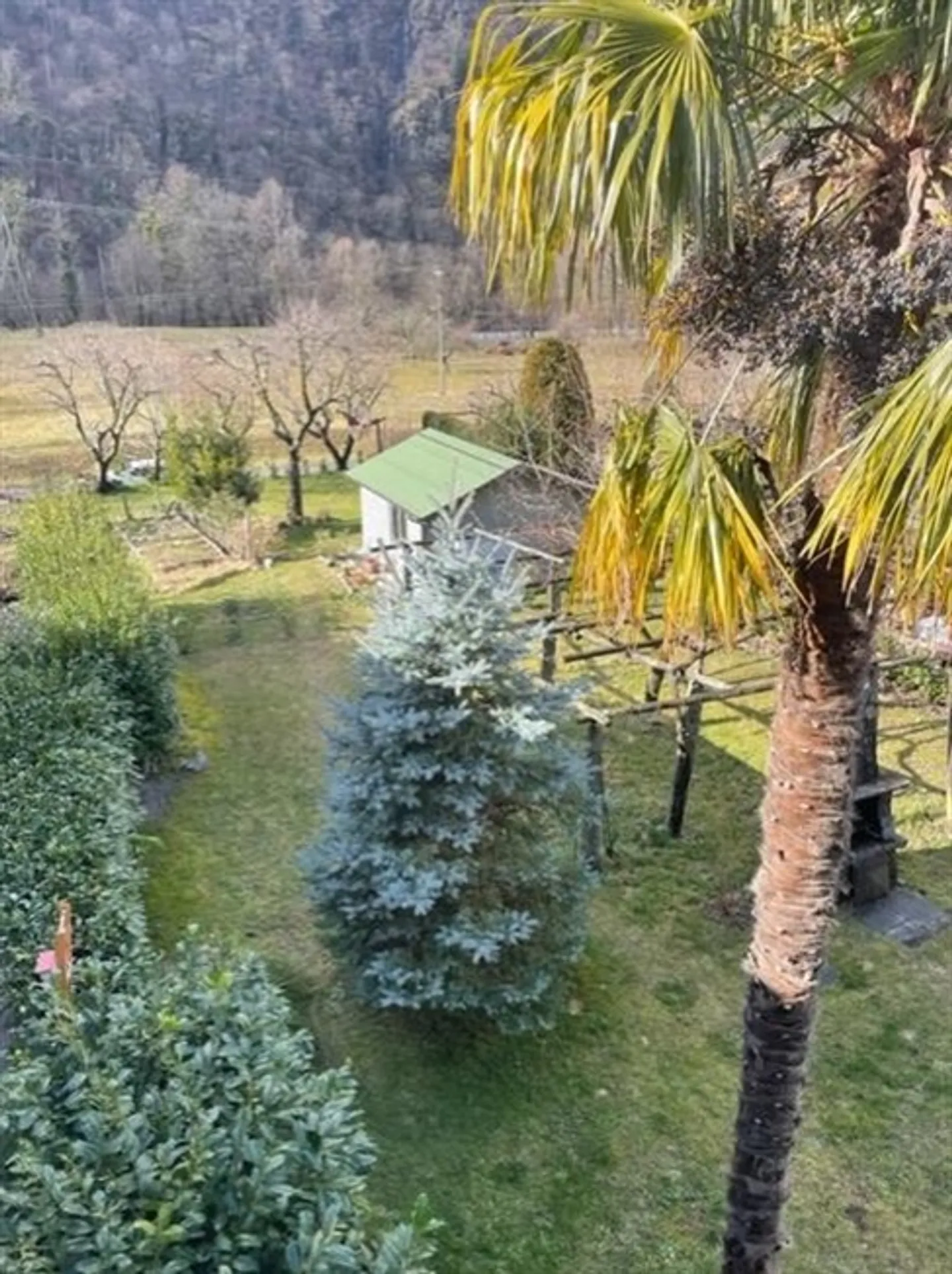 Single house for sale - Photo 4 of 20