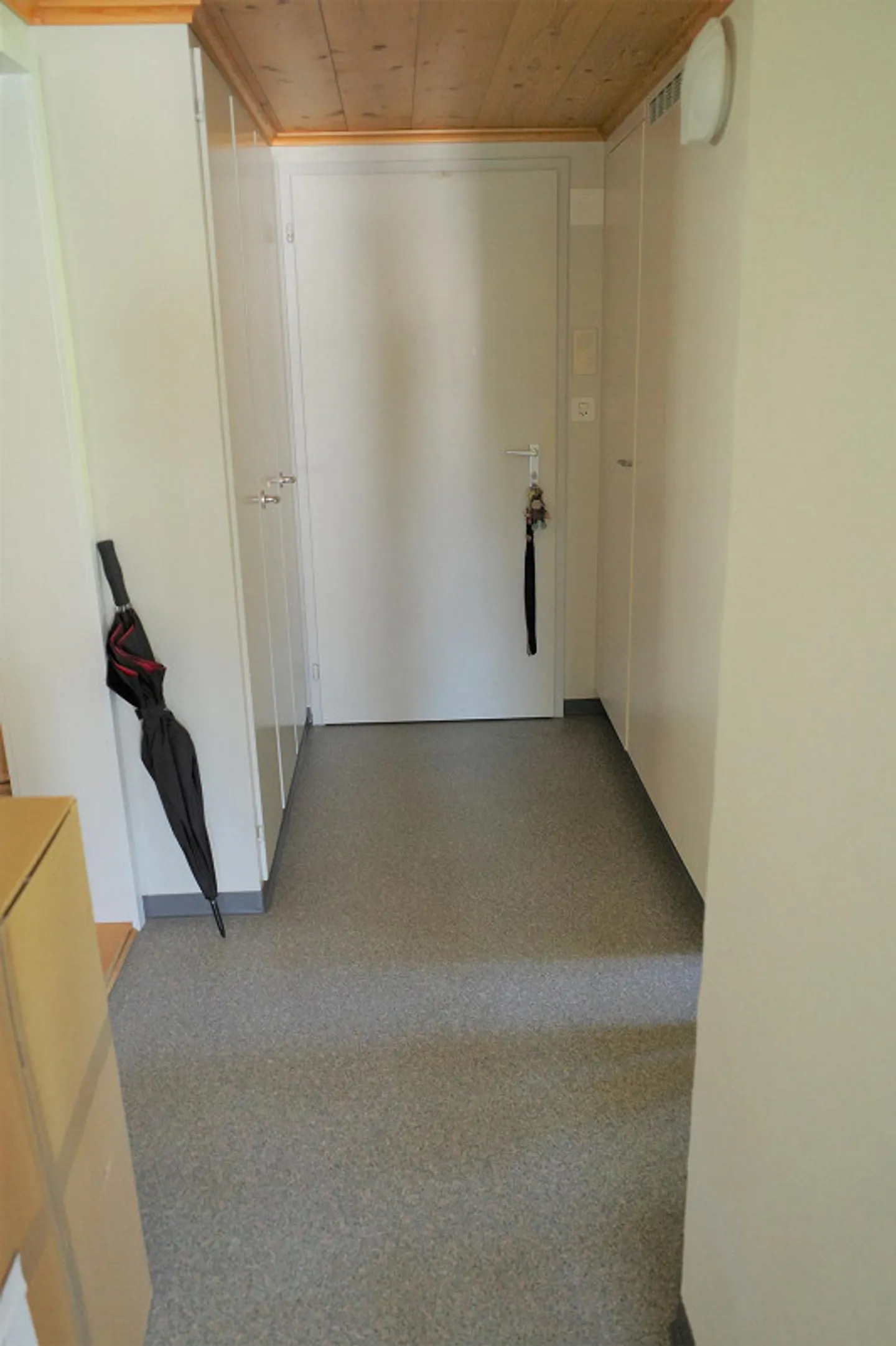 Appartamento 3 locali in bella casa appenzellese - Foto 6 di 9