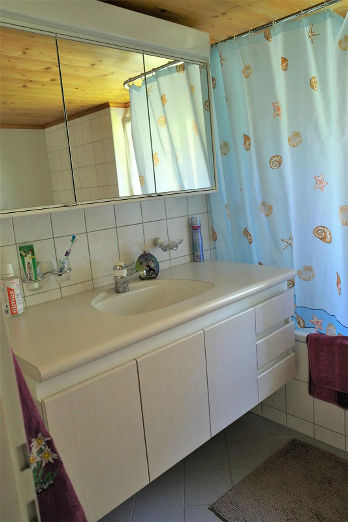 Appartamento 3 locali in bella casa appenzellese - Foto 3 di 9
