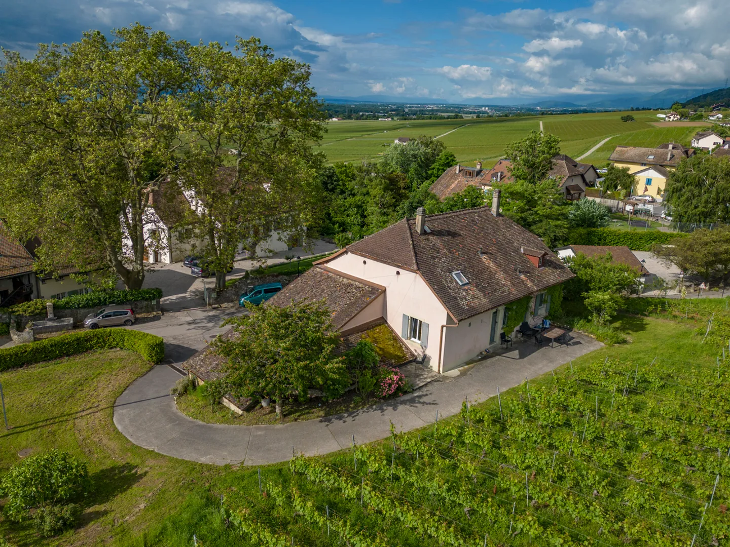 Alle porte di Rolle, Casa vinicola circondata da vigneti - Foto 6 di 8