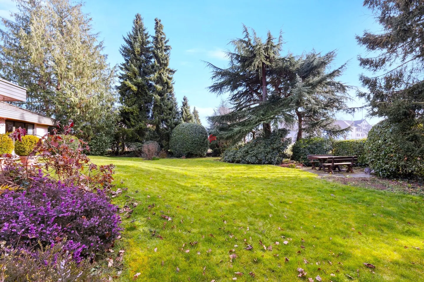 Le printemps peut venir! - Photo 11 sur 11