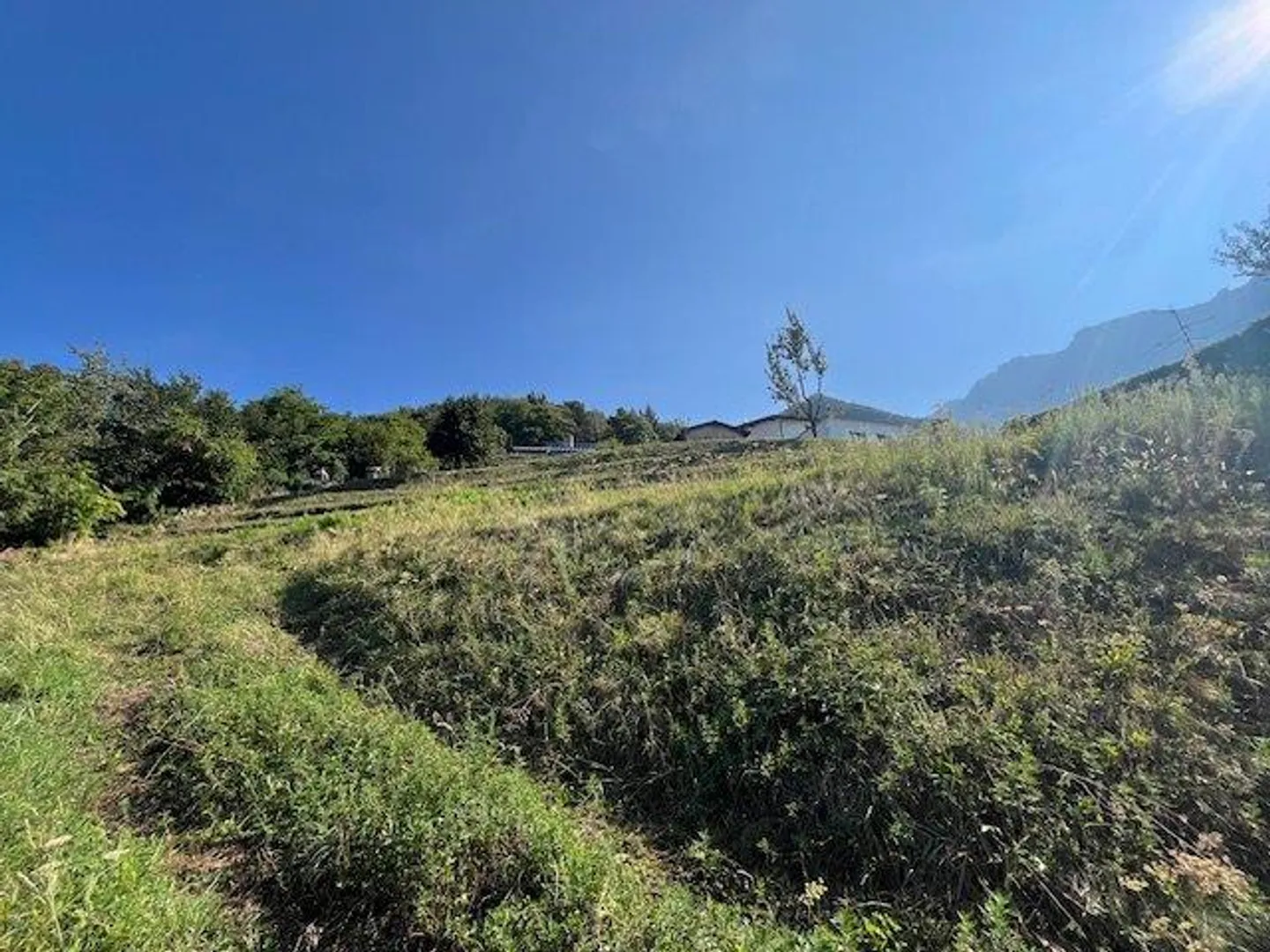 Rovio: residential land immersed in greenery - project draft available - Photo 1 of 5