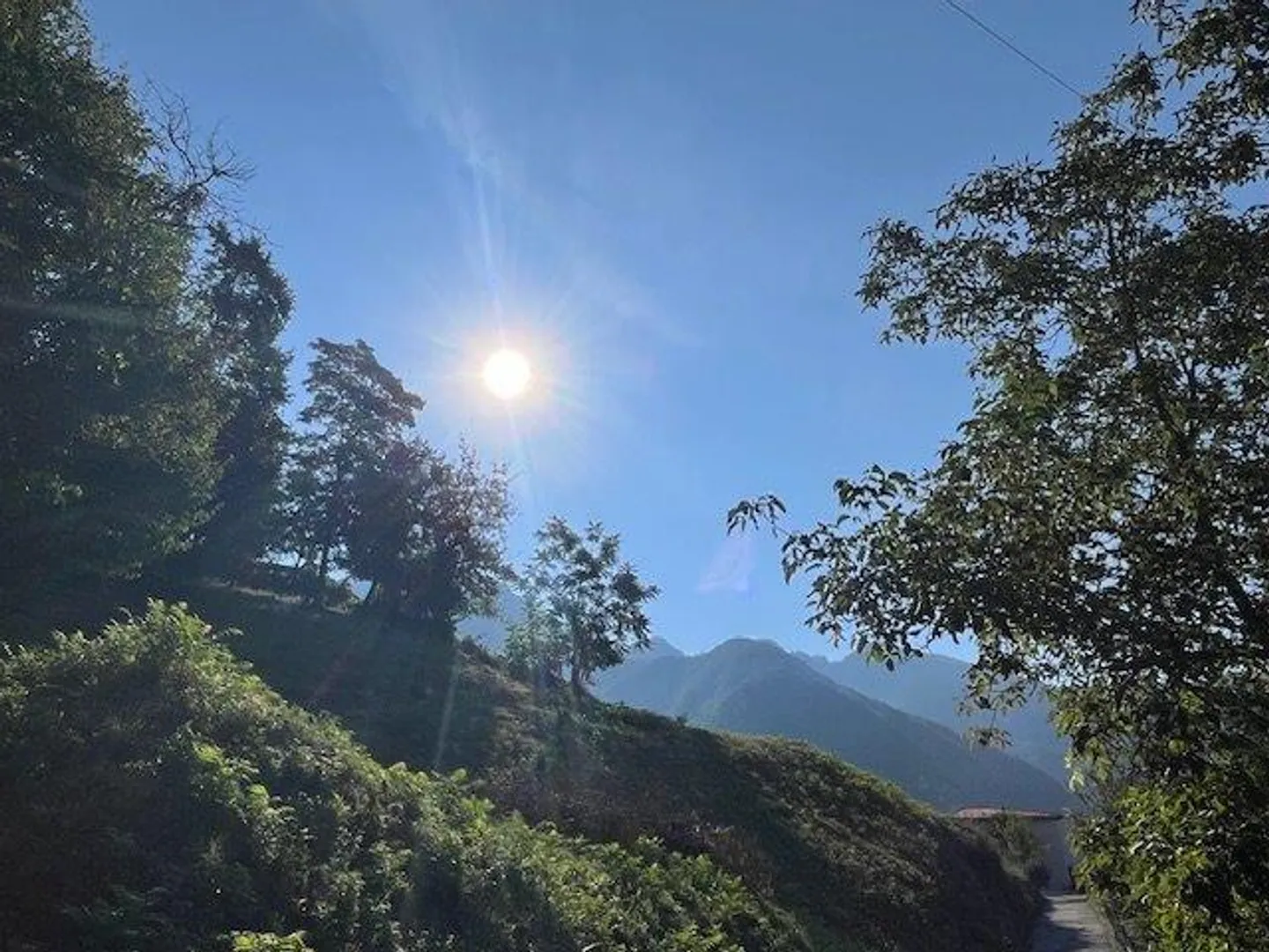 Rovio: residential land immersed in greenery - project draft available - Photo 3 of 5