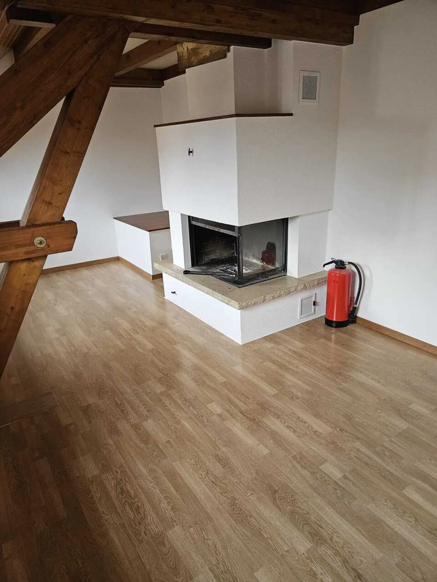 Charming Village House in Founex - Photo 11 of 18