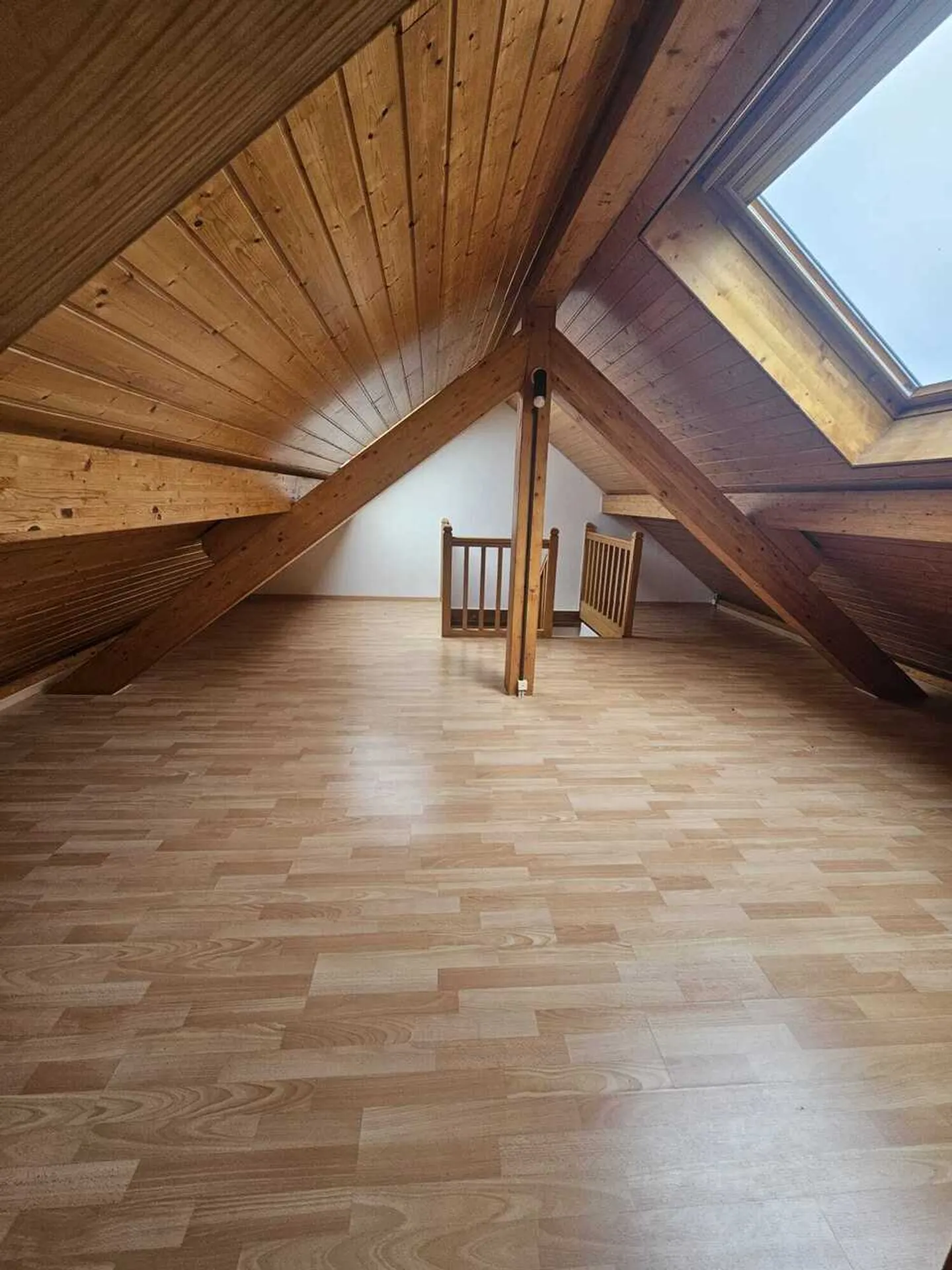 Charming Village House in Founex - Photo 14 of 18