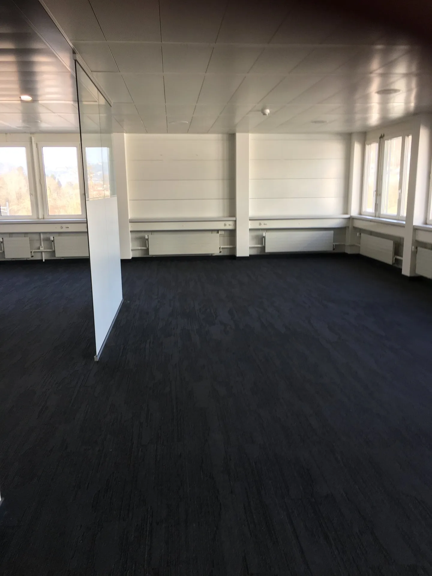 5116 Schinznach-Bad: Affordable Office Spaces in Schinznach-Bad - Photo 4 of 6