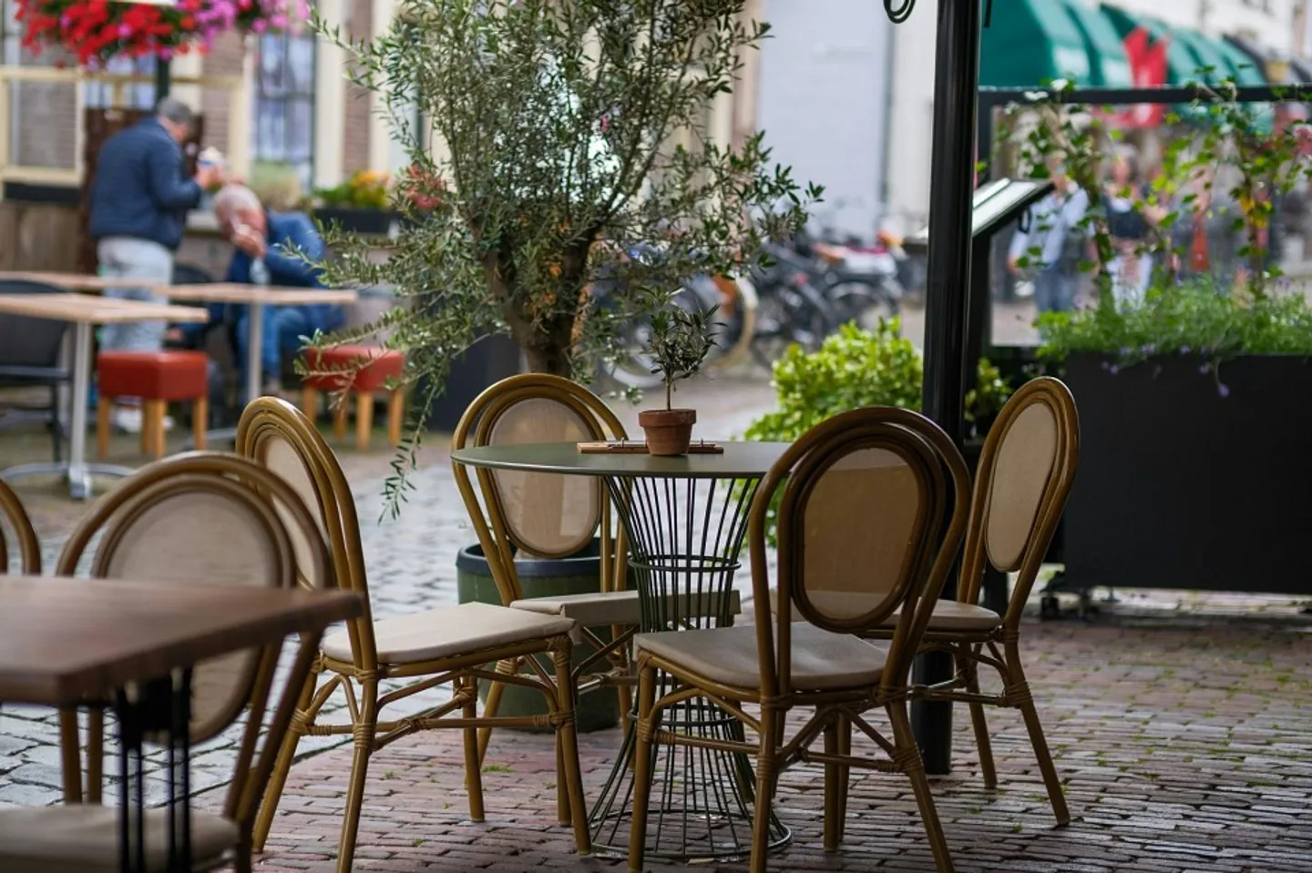 Charmantes Restaurant in Freiburg - Foto 4 von 4