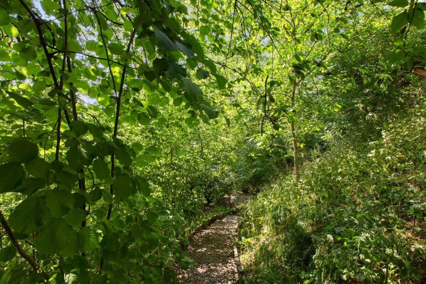Proprietà idilliaca con molto terreno e privacy - Foto 19 di 22