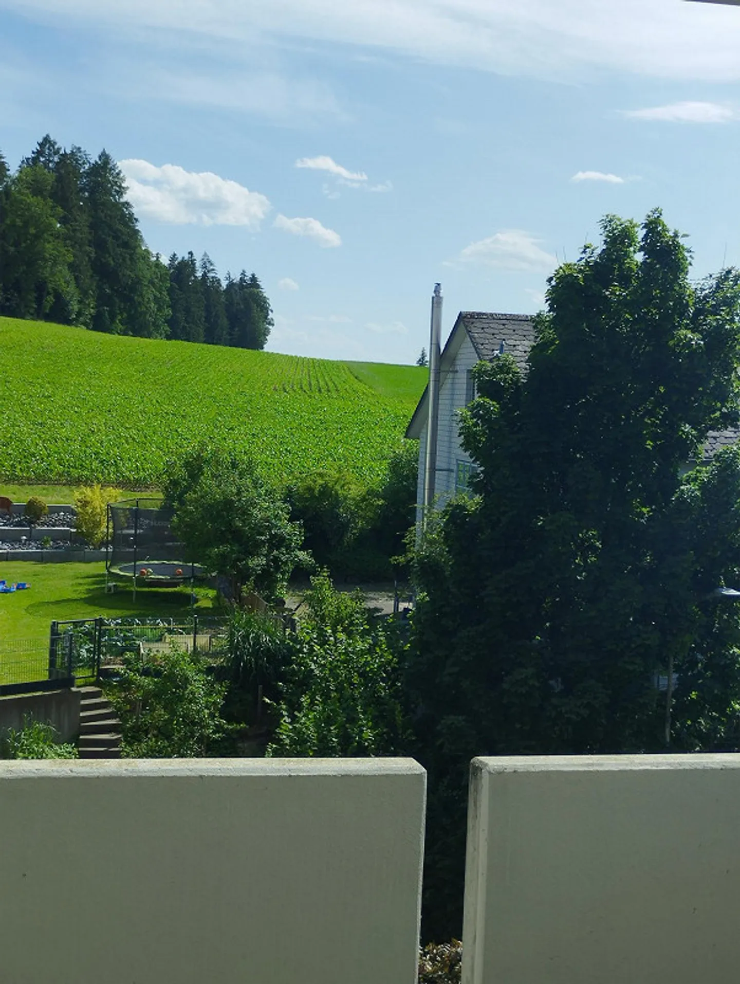 3 1/2 Room Apartment with Large Balcony - Photo 1 of 11