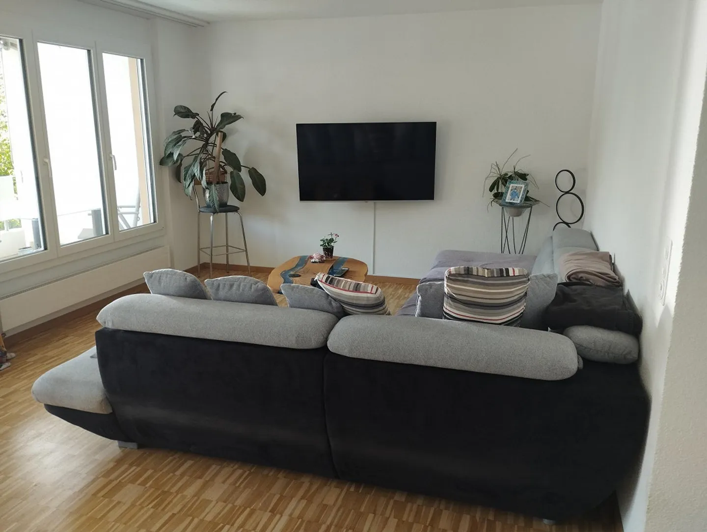3 1/2 Room Apartment with Large Balcony - Photo 5 of 11
